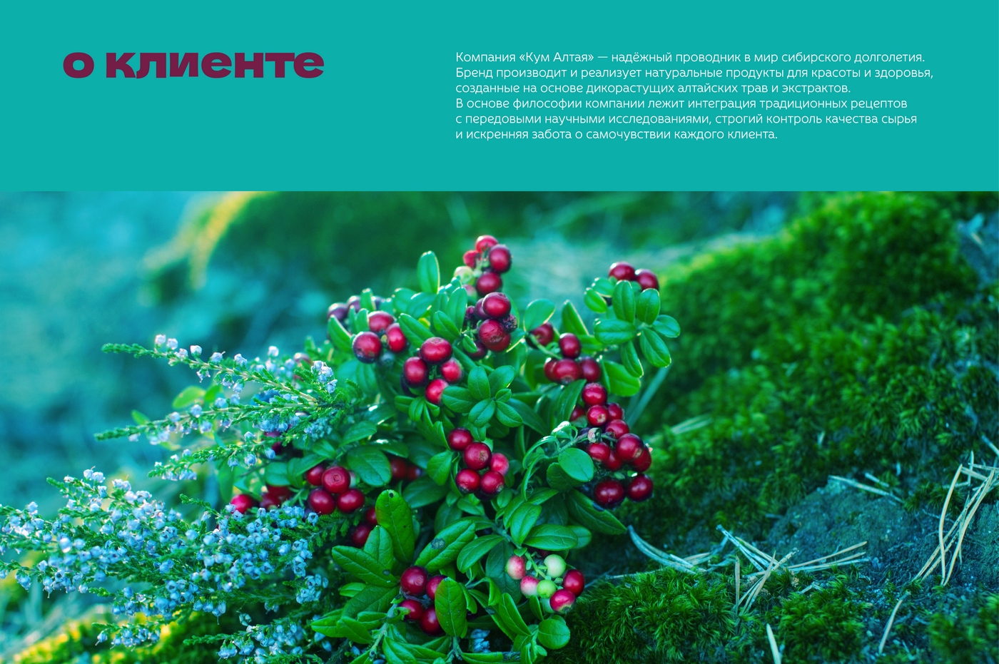 логотип "Кум Алтая" — Изображение №2 — Брендинг на Dprofile