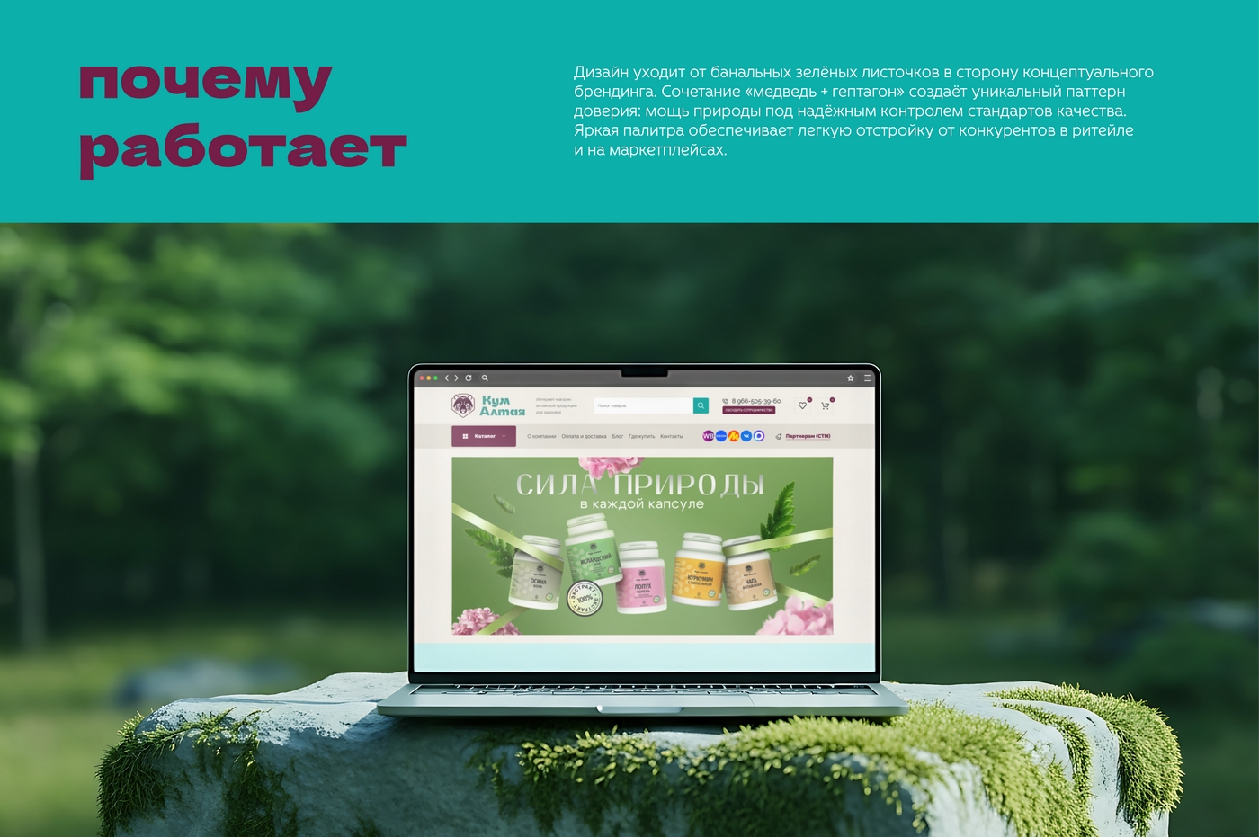 логотип "Кум Алтая" — Изображение №10 — Брендинг на Dprofile