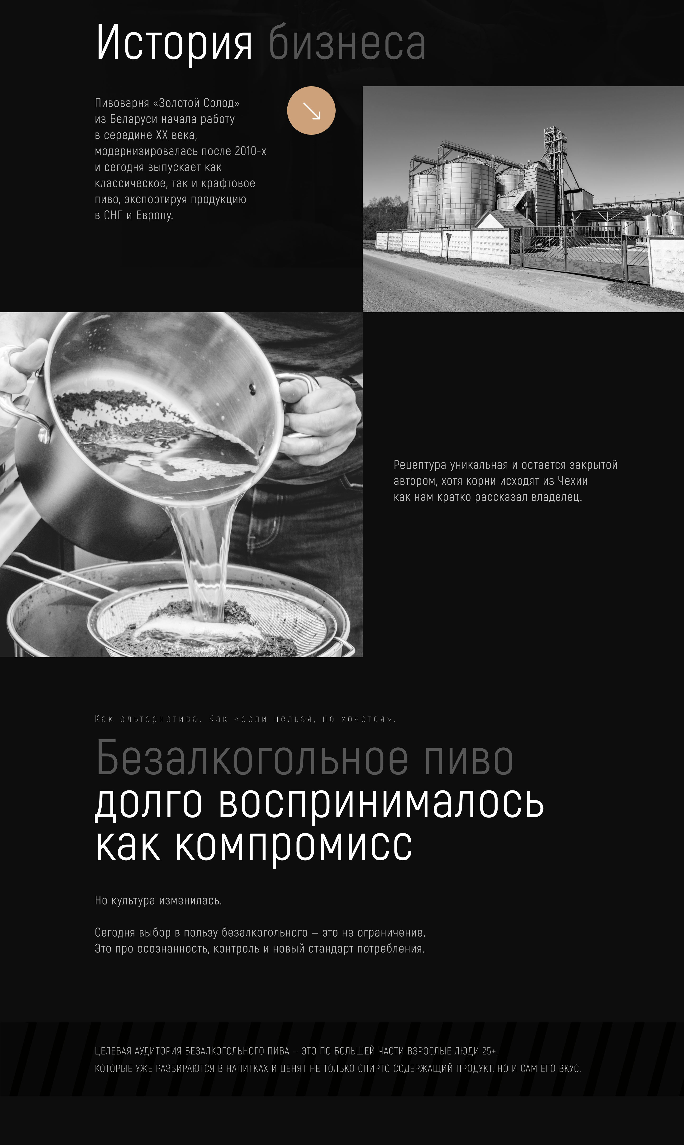 PREMIUM BEER | GOLDEN MATE — Изображение №3 — Интерфейсы, Маркетинг на Dprofile