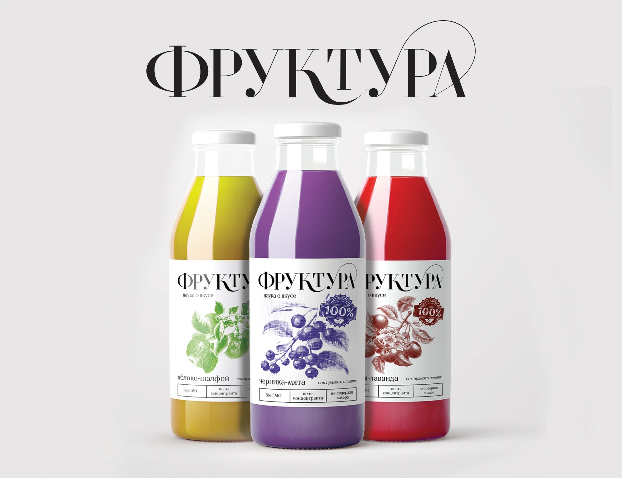 Фруктура — Изображение №1 — Интерфейсы, Брендинг на Dprofile