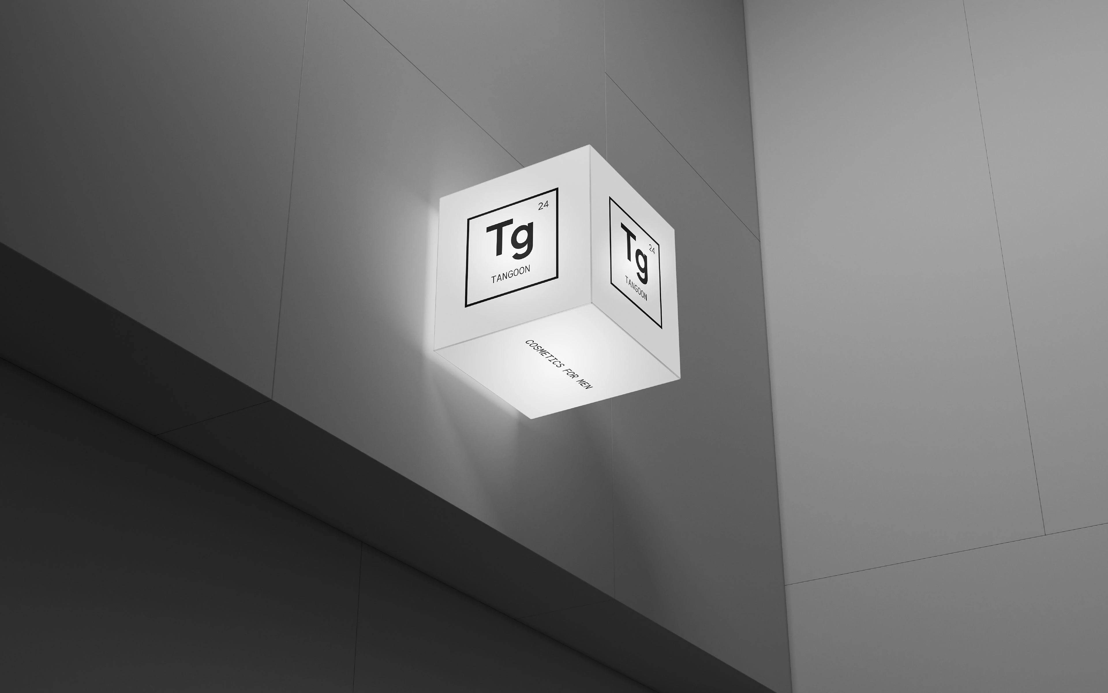 TANGOON — уходовая косметика для мужчин — Изображение №14 — Брендинг на Dprofile