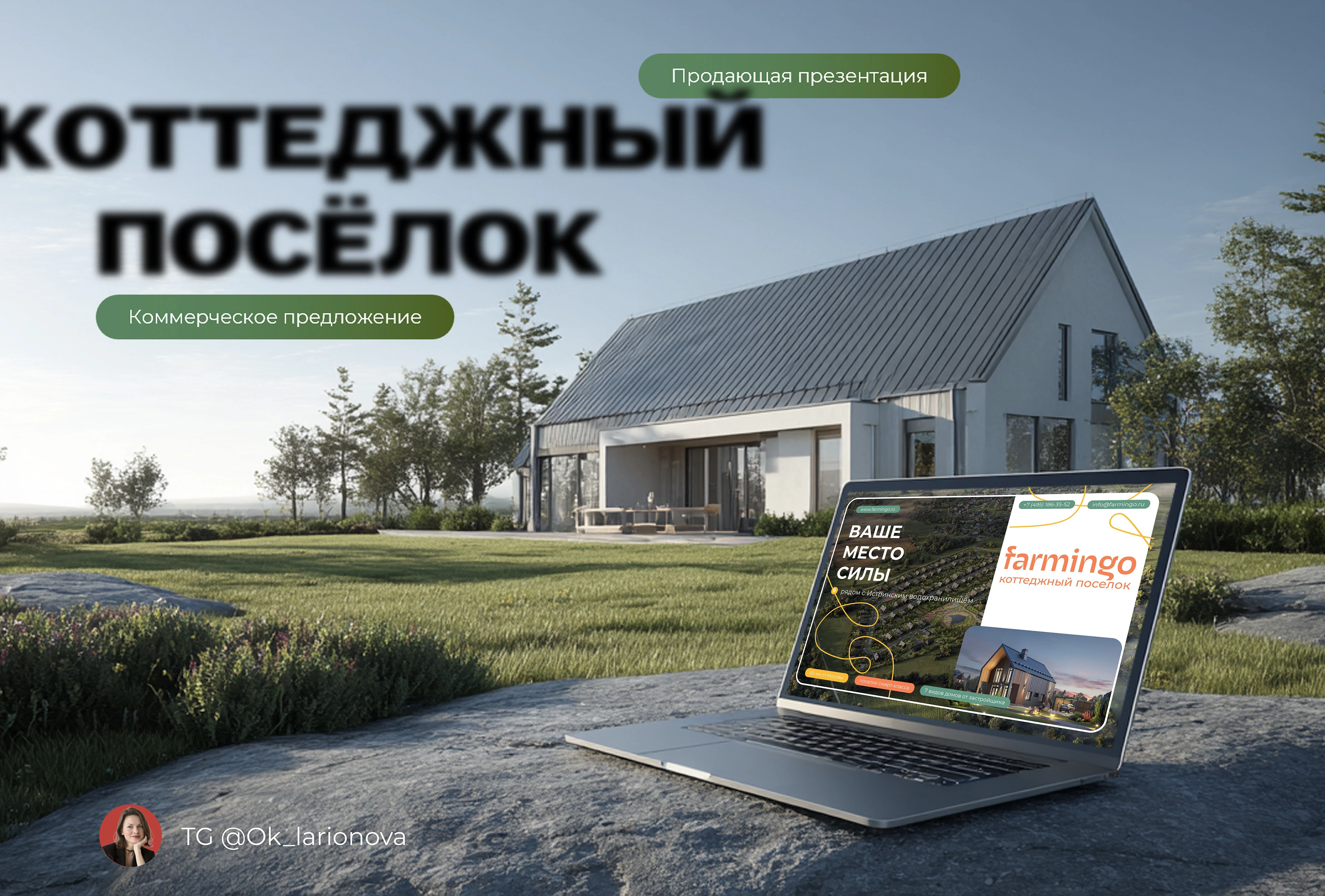 Презентация коттеджного поселка — Изображение №1 — Маркетинг, Архитектура на Dprofile