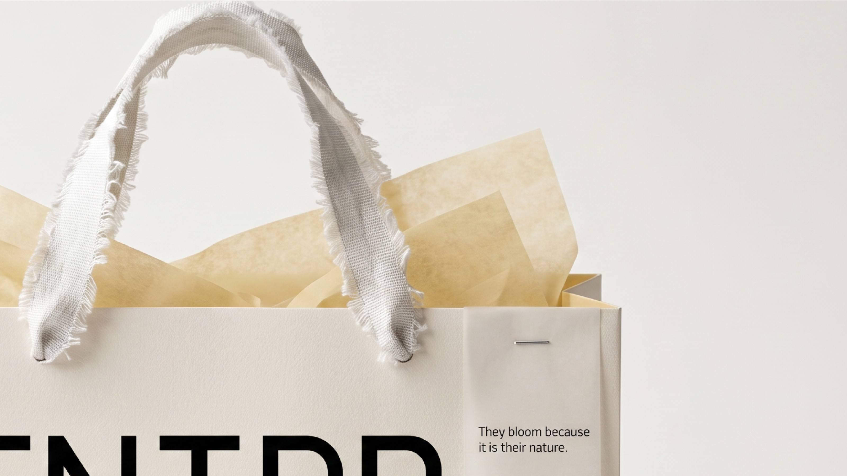 SENTRA JEWELRY // BRAND IDENTITY & PACKAGING DESIGN — Изображение №5 — Брендинг на Dprofile