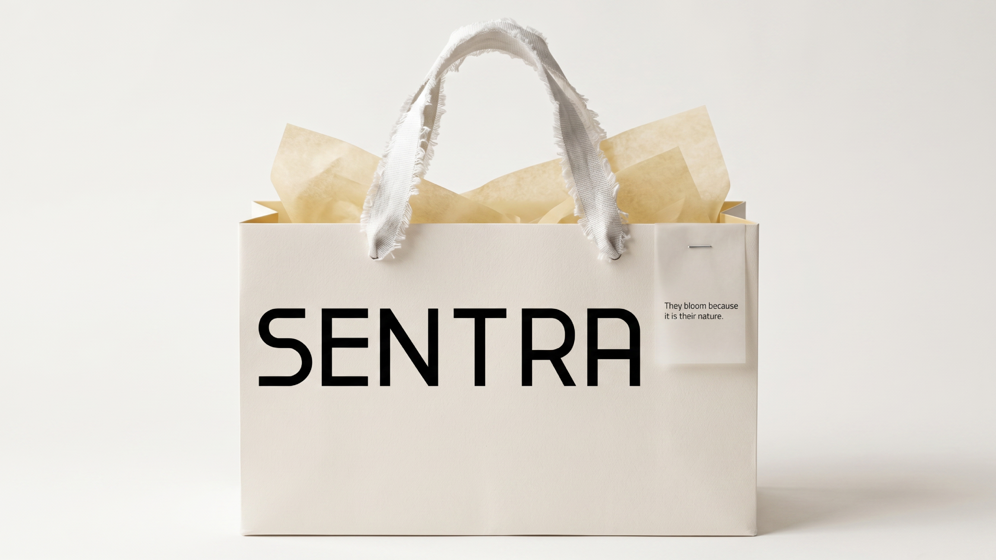 SENTRA JEWELRY // BRAND IDENTITY & PACKAGING DESIGN — Изображение №4 — Брендинг на Dprofile