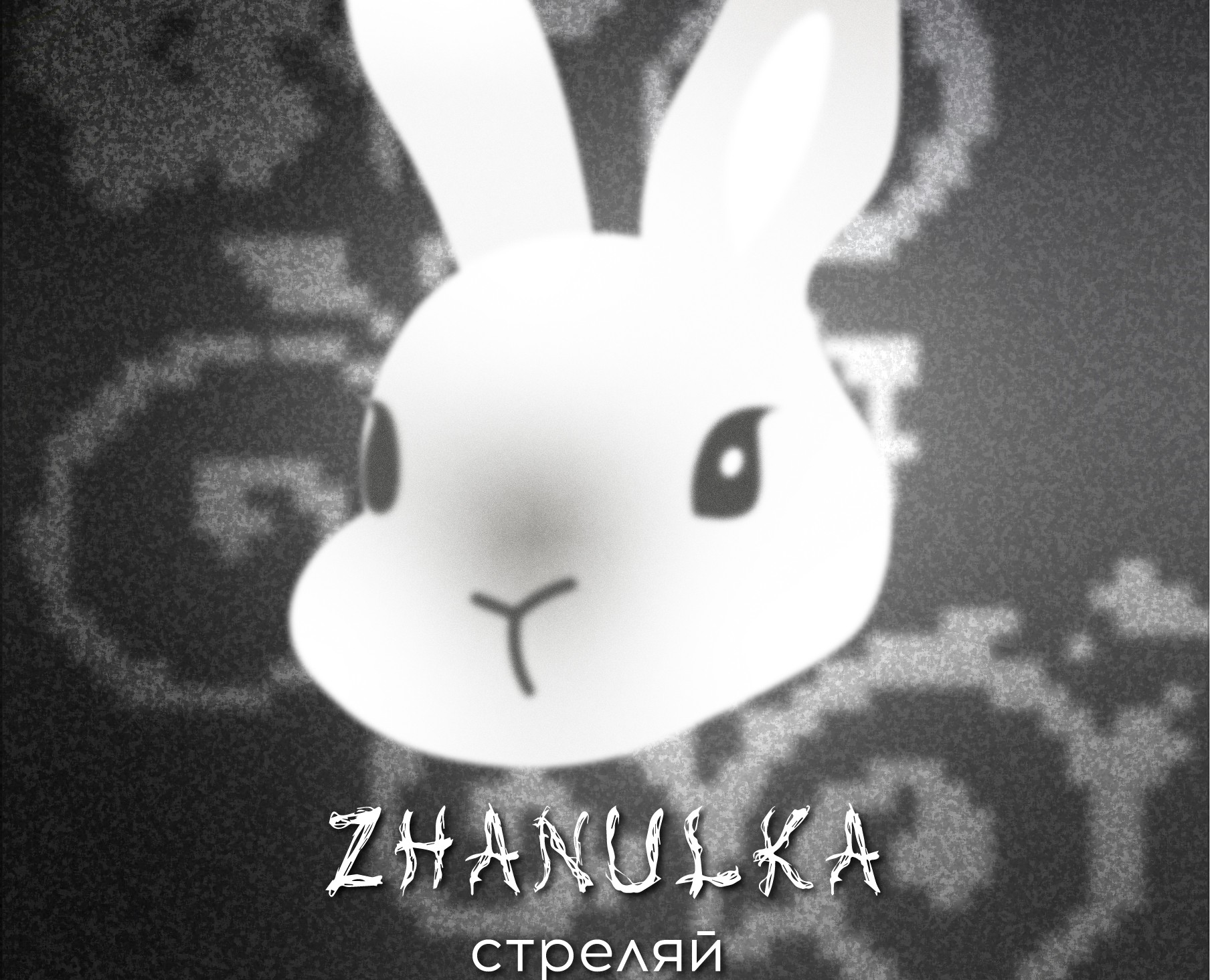 Разработка виниловой пластинки для Zhanulka на Dprofile