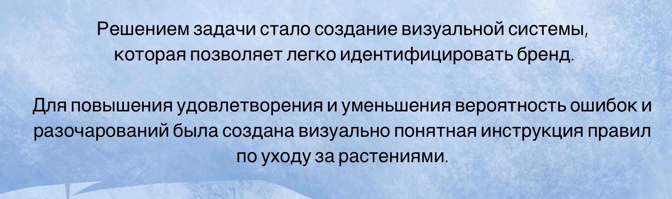 Blommor - цветочный магазин — Изображение №5 — Брендинг, Иллюстрация на Dprofile