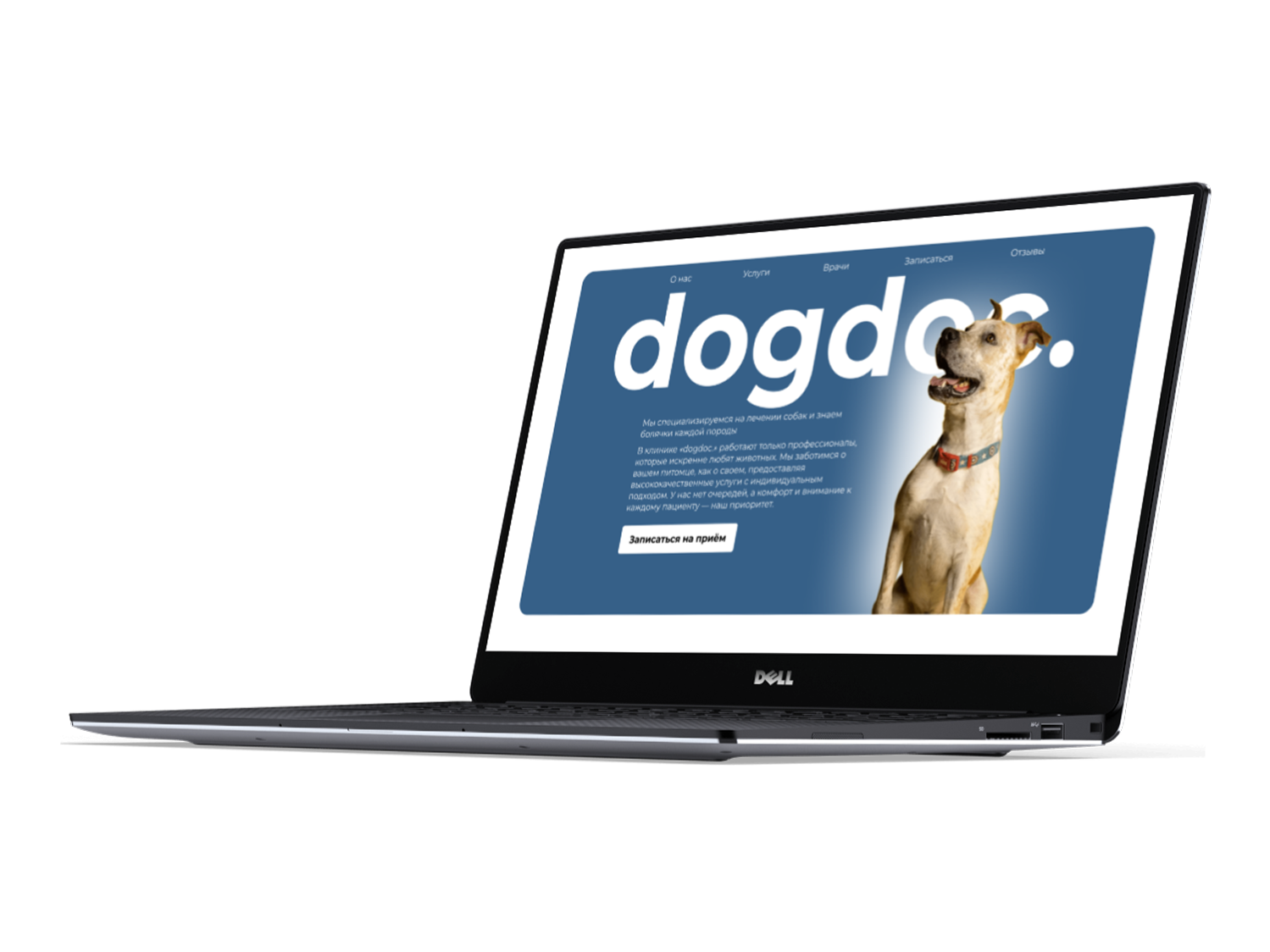 dogdoc. дизайн веб сайт сайта вет клиники — Изображение №1 — Интерфейсы на Dprofile