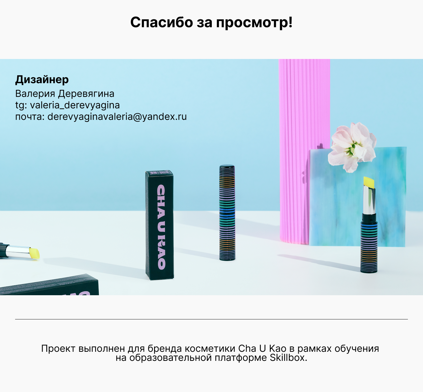 Учебный проект Skillbox для Cha U Kao — Изображение №14 — Графика на Dprofile