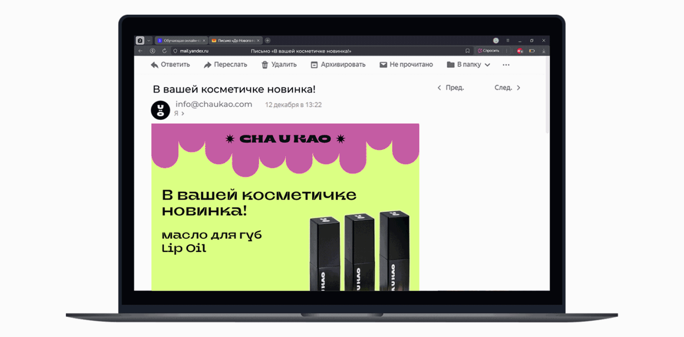 Учебный проект Skillbox для Cha U Kao — Изображение №10 — Графика на Dprofile