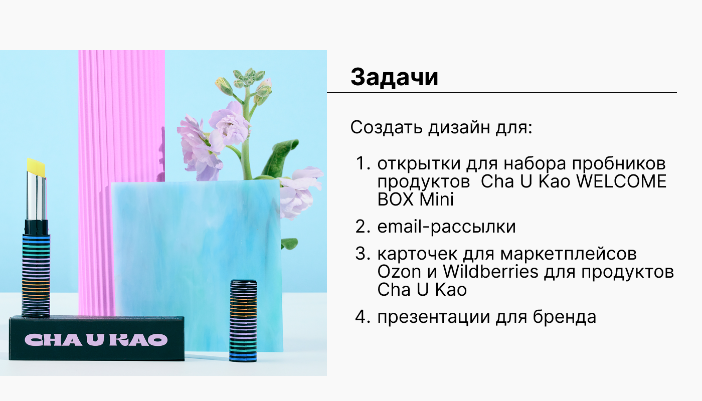 Учебный проект Skillbox для Cha U Kao — Изображение №2 — Графика на Dprofile