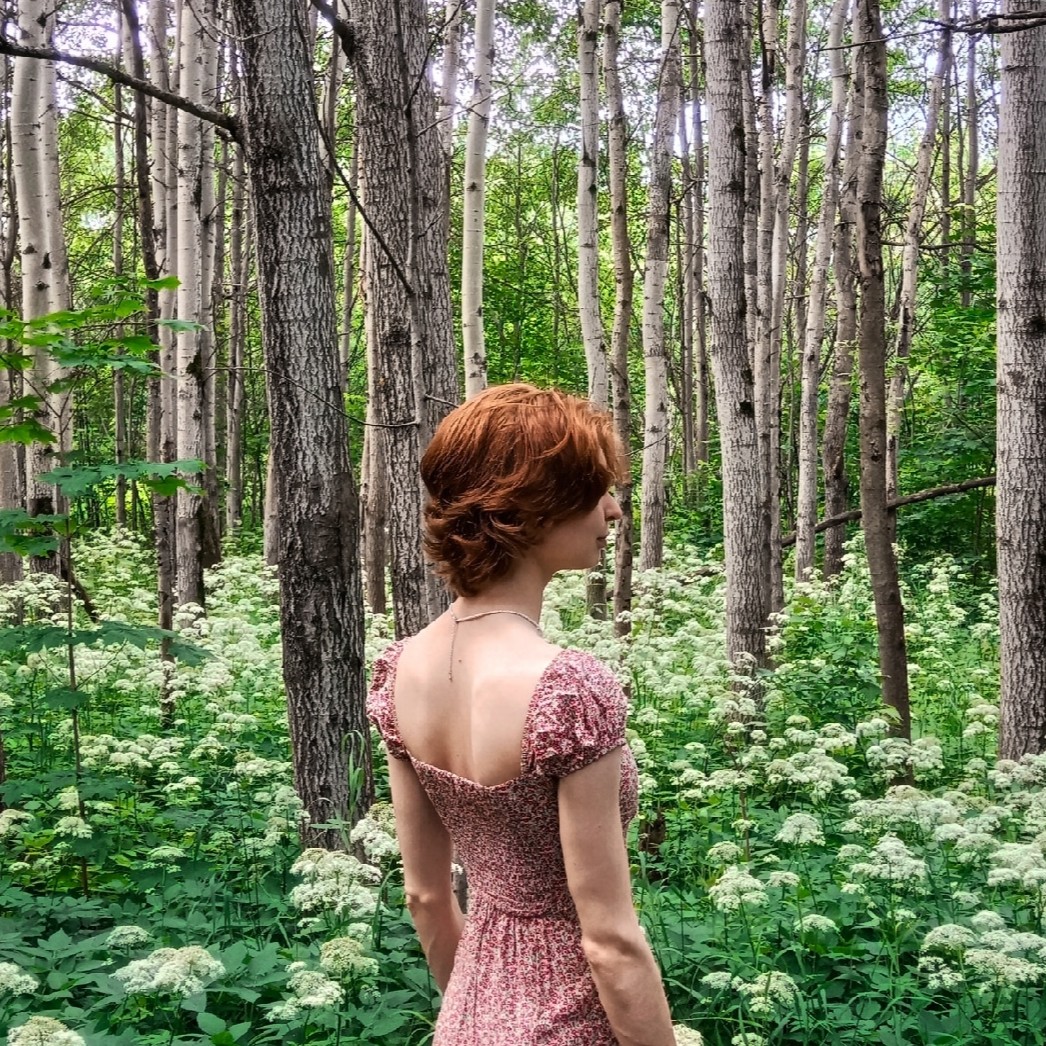 Аватар пользователя Лиза Вшивкова