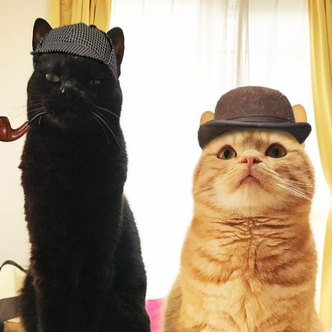 Аватар пользователя Кира Малофеева