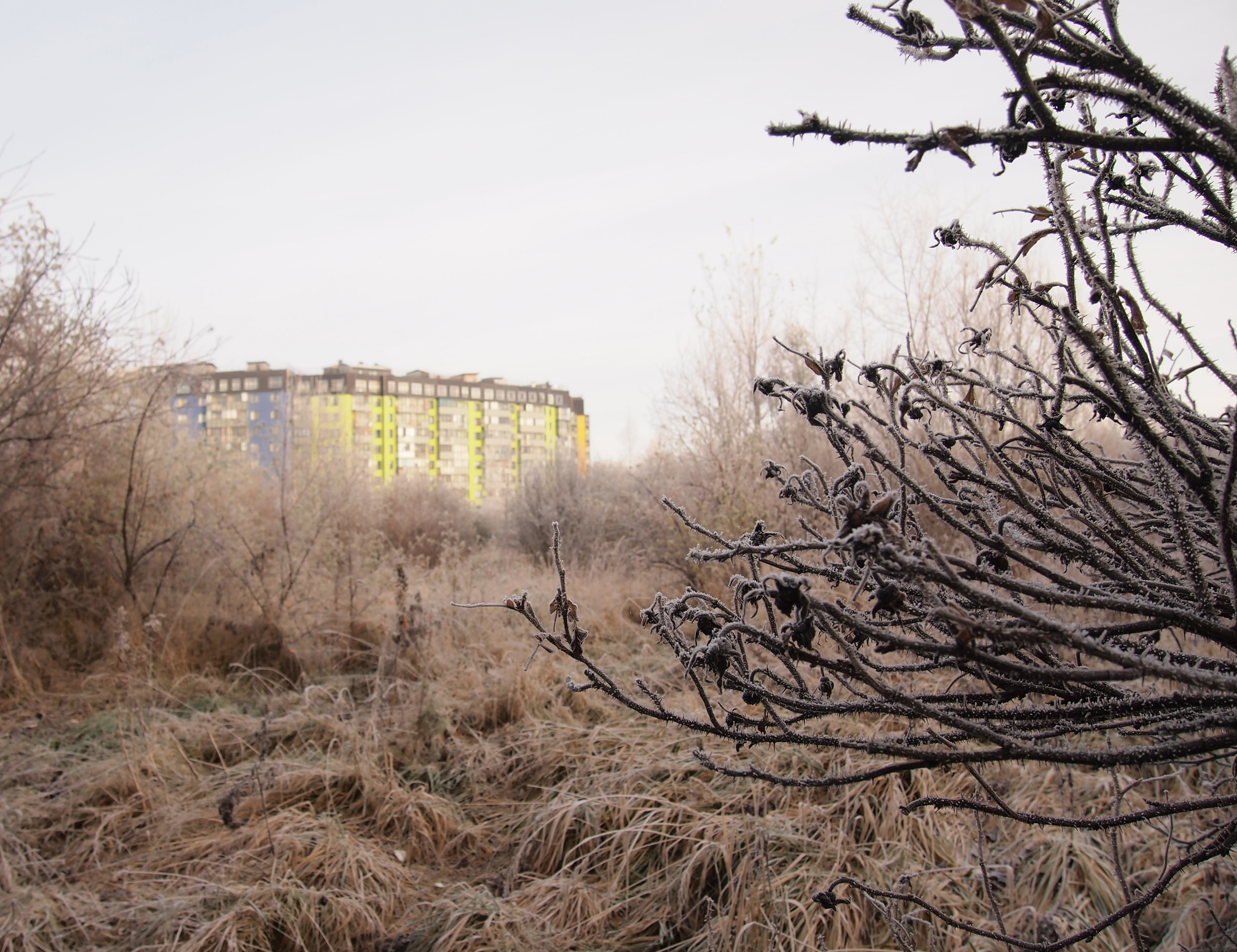 Концепция "Парк на Данини" — Изображение №3 — Архитектура на Dprofile