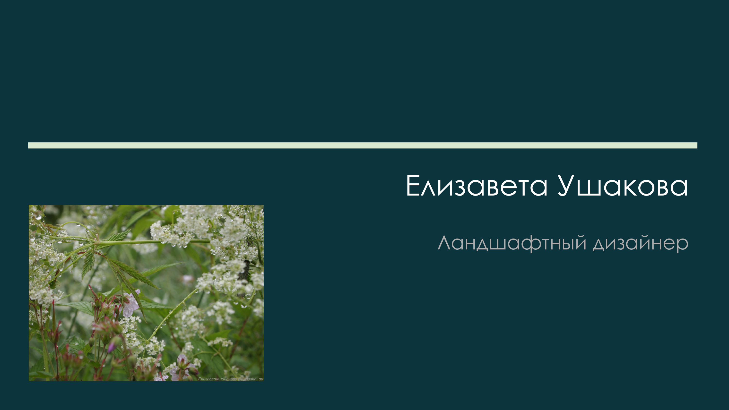 Портфолио ландшафтного дизайнера Елизаветы Ушаковой — Изображение №1 — Архитектура на Dprofile