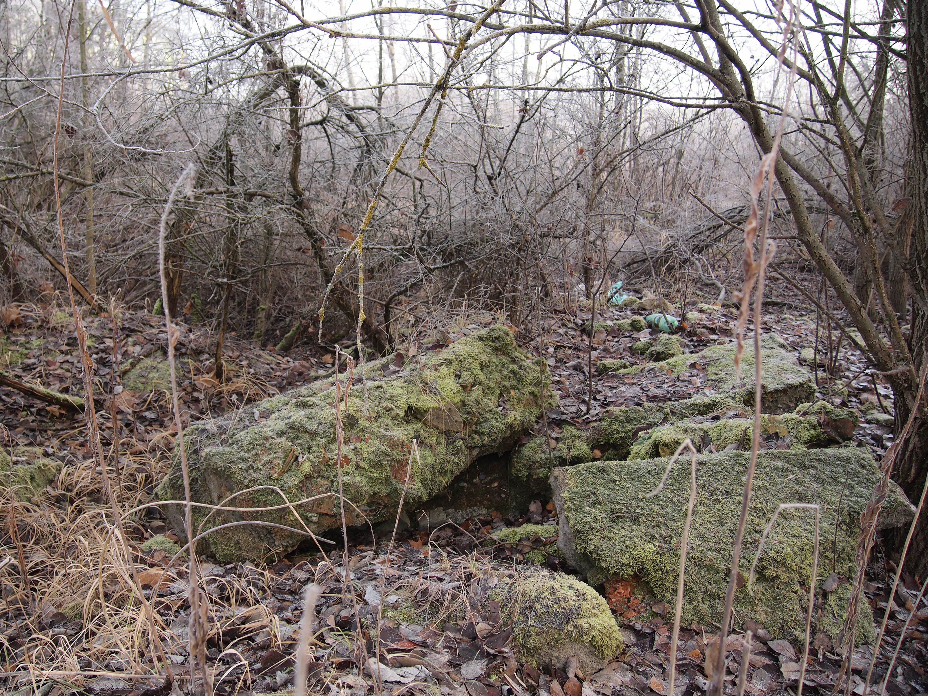 Концепция "Парк на Данини" — Изображение №4 — Архитектура на Dprofile