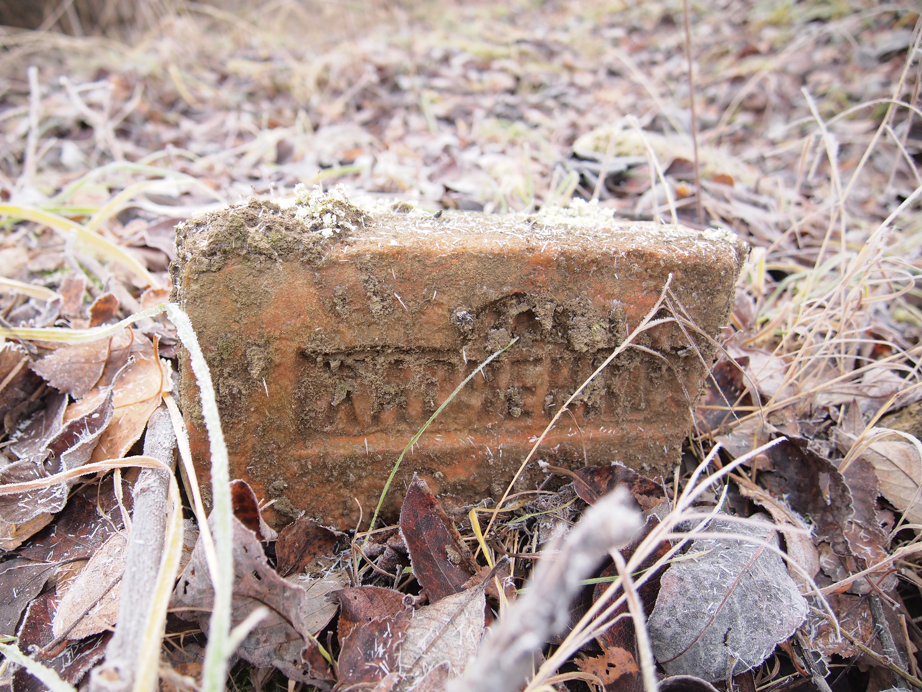 Концепция "Парк на Данини" — Изображение №2 — Архитектура на Dprofile