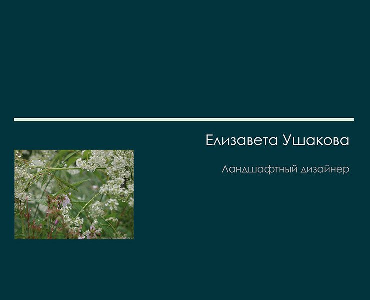 Портфолио ландшафтного дизайнера Елизаветы Ушаковой — Архитектура на Dprofile