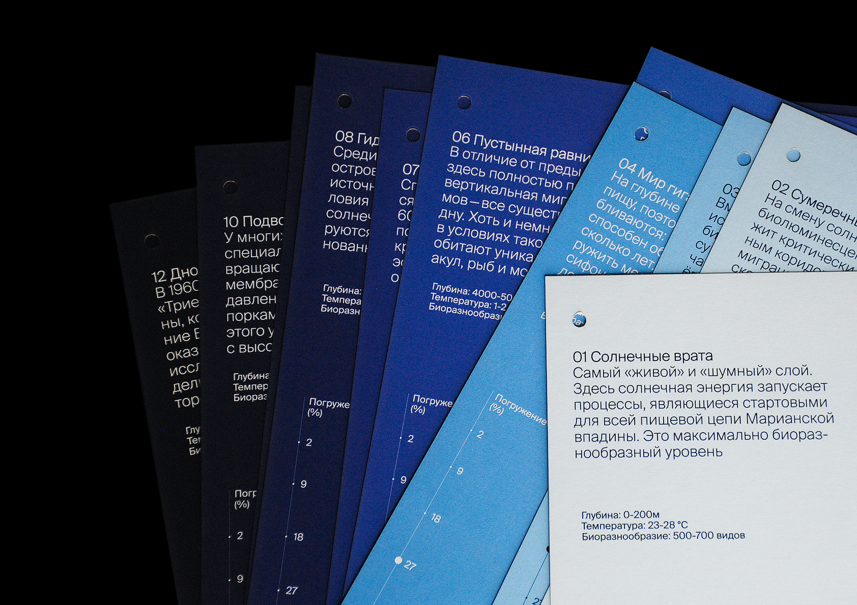 Календарь-погружение на дно Марианской впадины — Изображение №5 — Графика на Dprofile