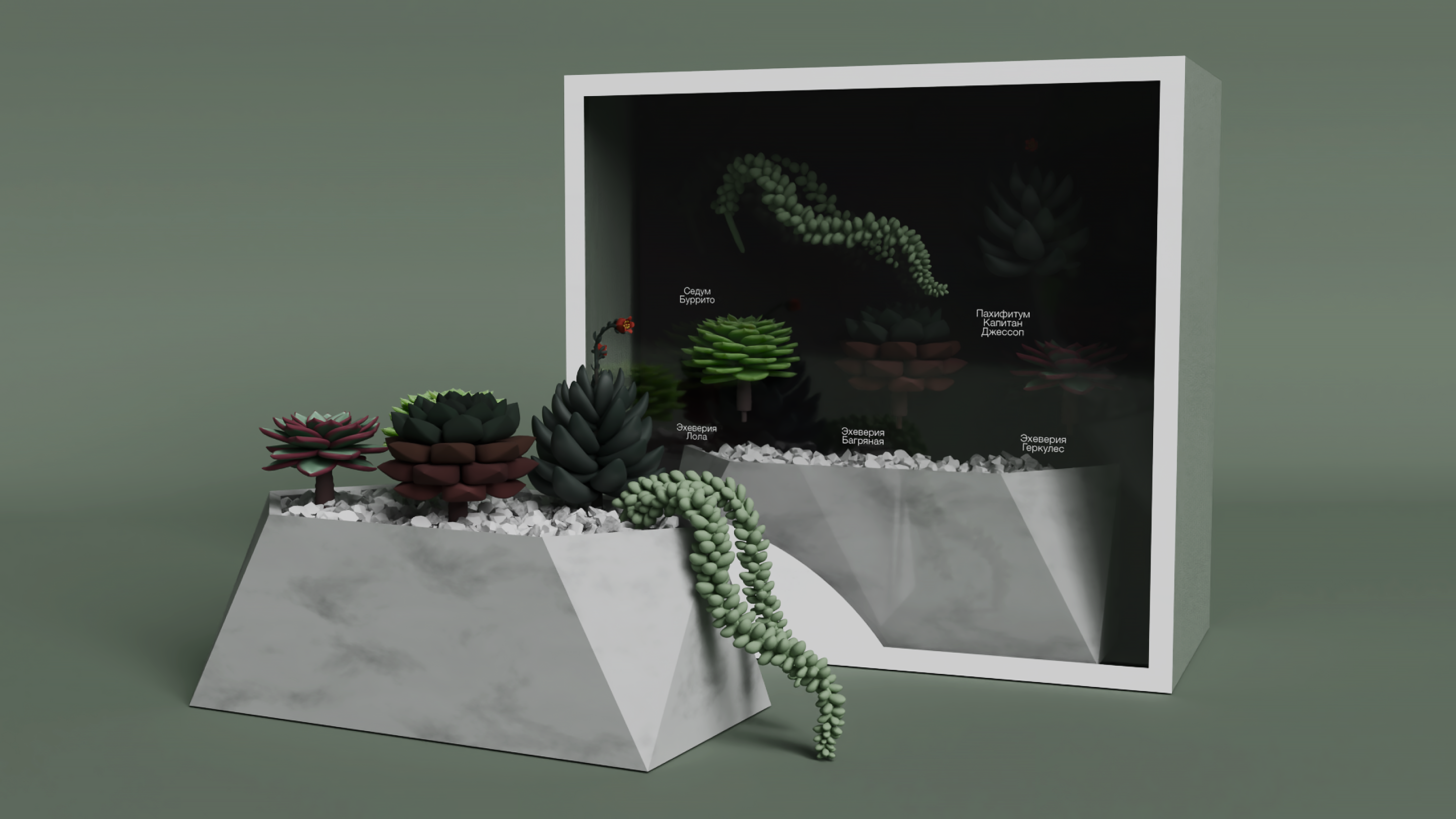 Коллекционные наборы модульных суккулентов Grow&Build — Изображение №4 — 3D, Промдизайн на Dprofile