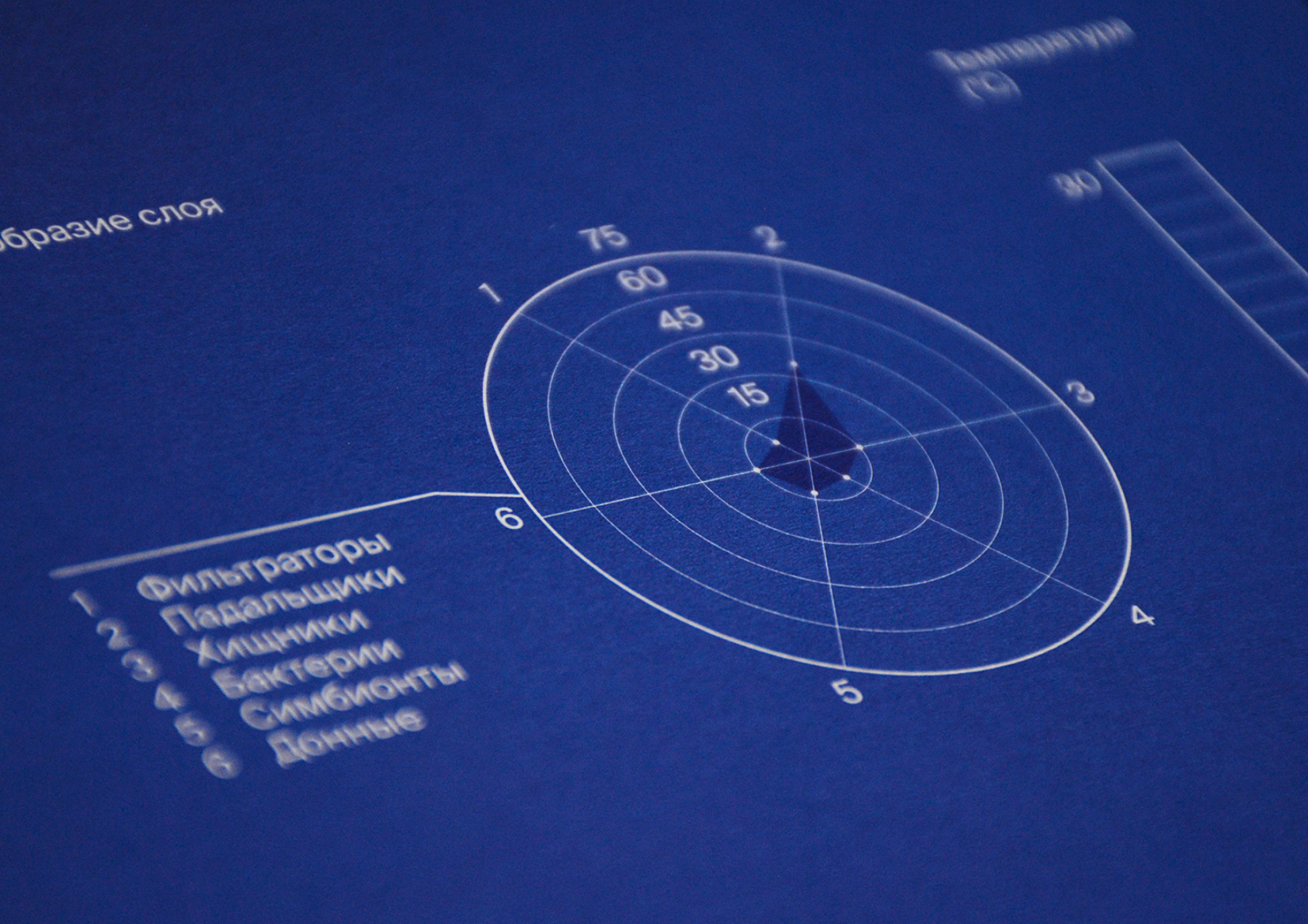 Календарь-погружение на дно Марианской впадины — Изображение №8 — Графика на Dprofile