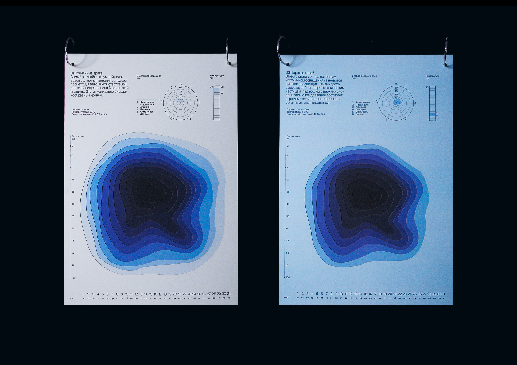 Календарь-погружение на дно Марианской впадины — Изображение №4 — Графика на Dprofile