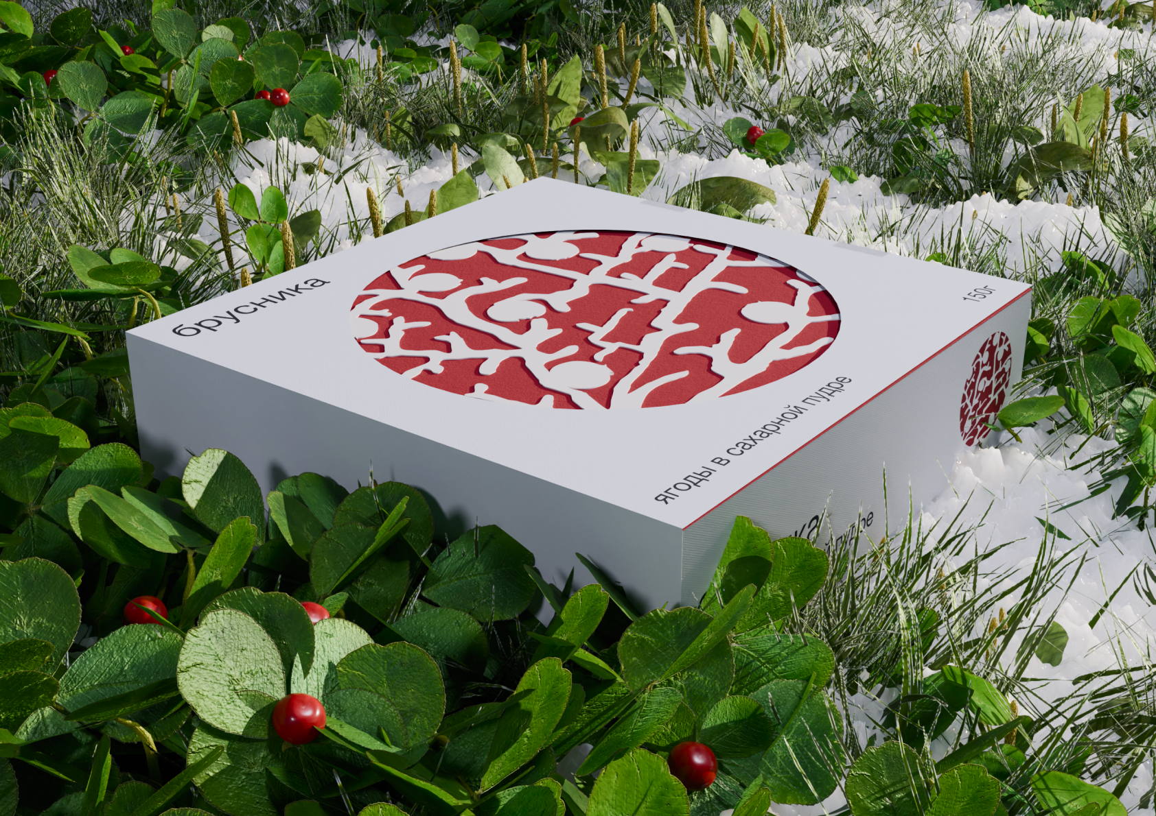 Бренд диких ягод в сахаре СЕВЕРЯГ — Изображение №6 — Брендинг, 3D на Dprofile