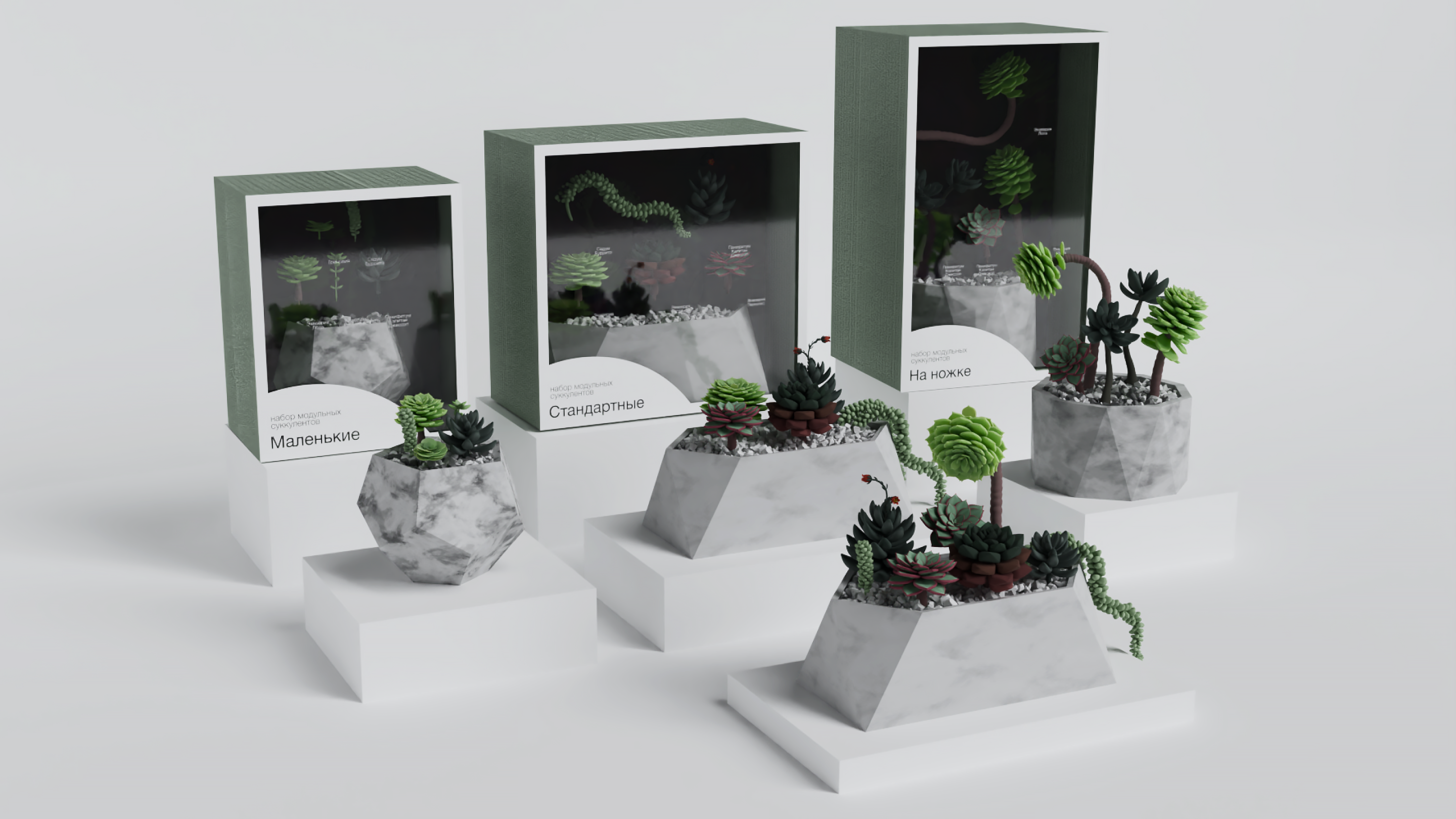 Коллекционные наборы модульных суккулентов Grow&Build — Изображение №6 — 3D, Промдизайн на Dprofile