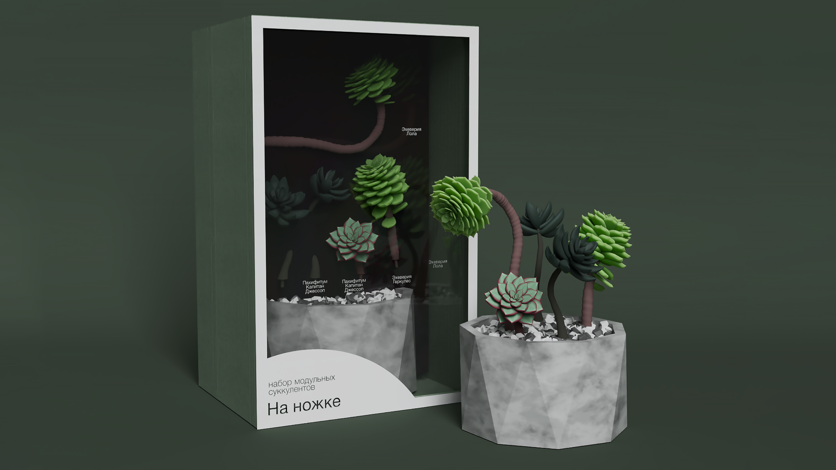 Коллекционные наборы модульных суккулентов Grow&Build — Изображение №5 — 3D, Промдизайн на Dprofile