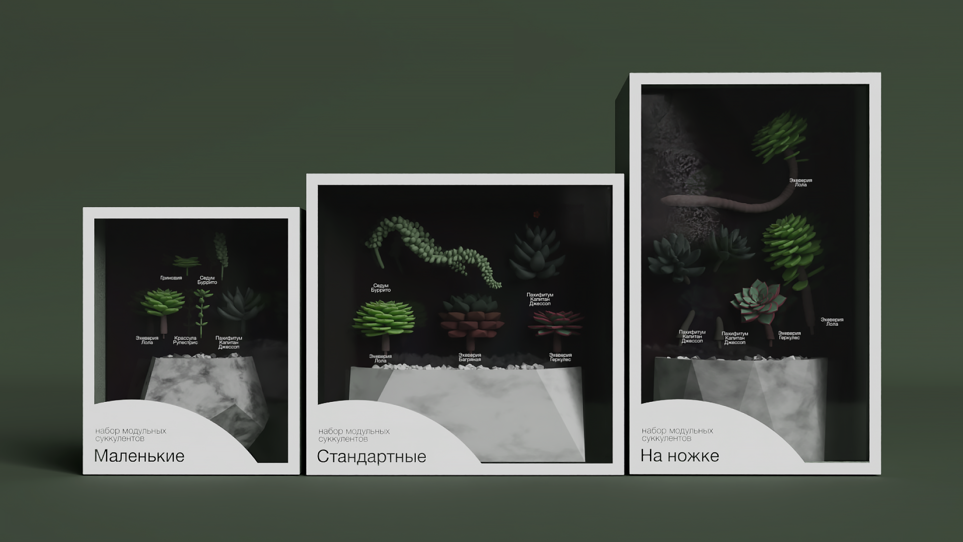 Коллекционные наборы модульных суккулентов Grow&Build — Изображение №1 — 3D, Промдизайн на Dprofile