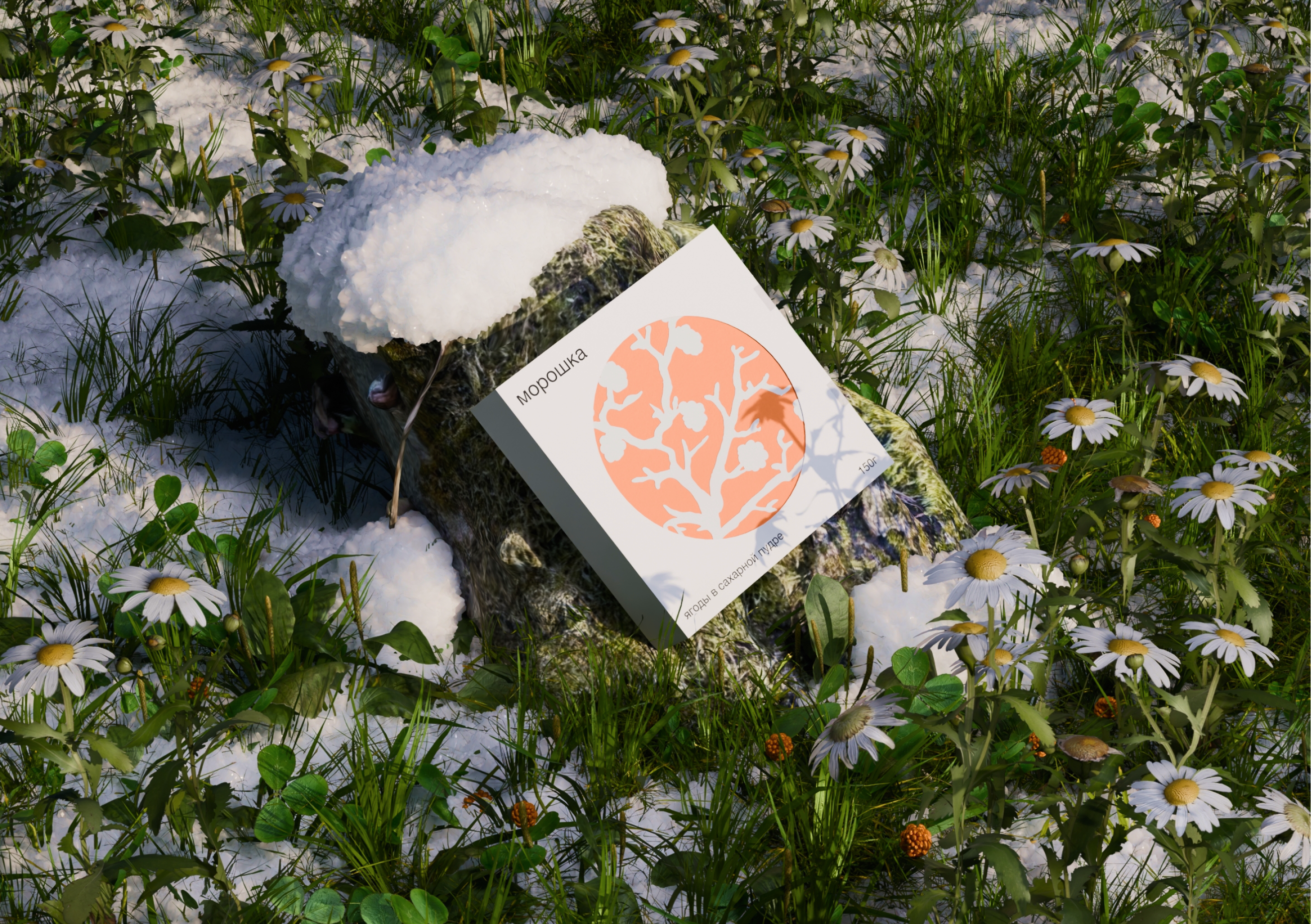 Бренд диких ягод в сахаре СЕВЕРЯГ — Изображение №2 — Брендинг, 3D на Dprofile