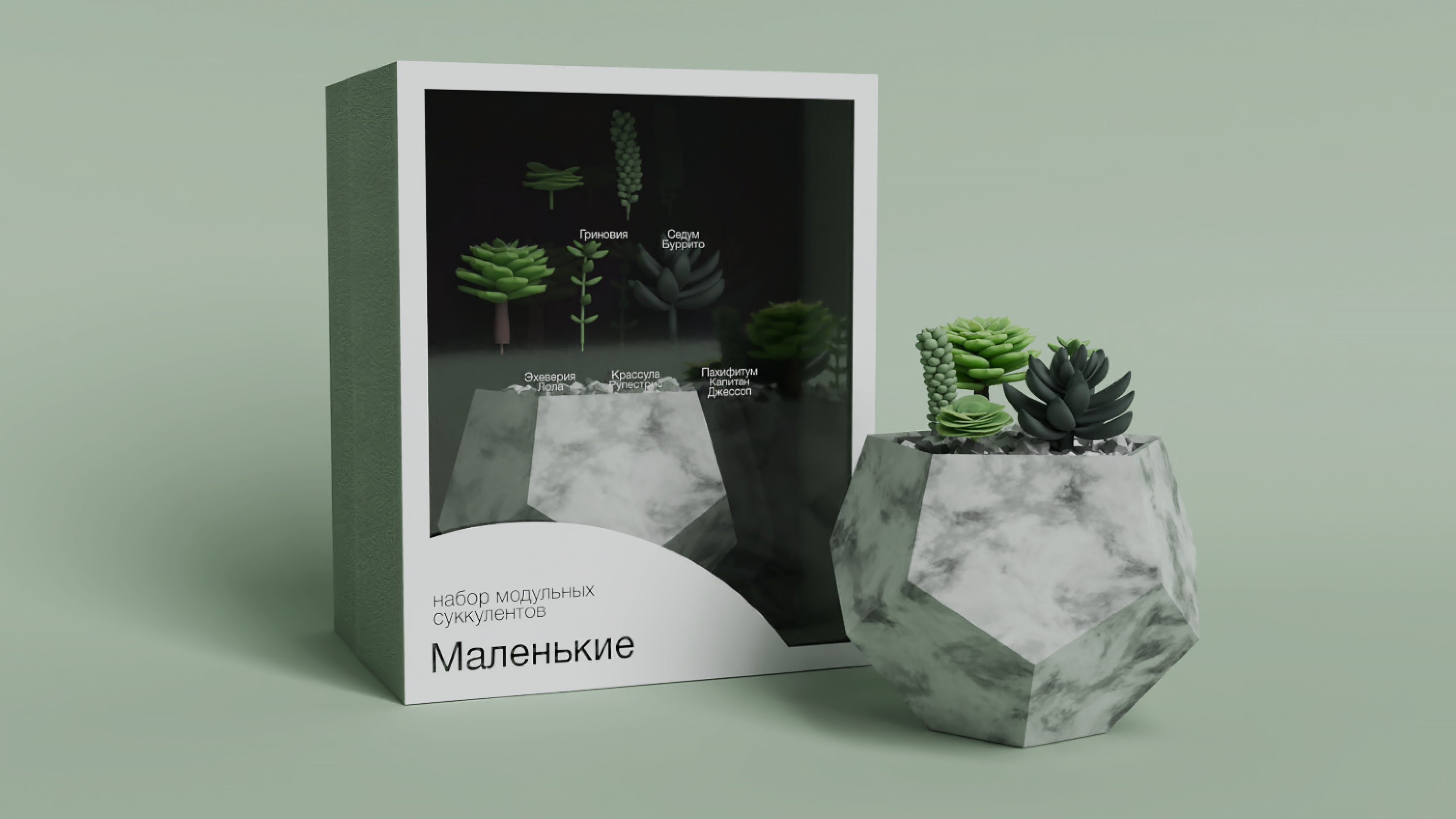 Коллекционные наборы модульных суккулентов Grow&Build — Изображение №3 — 3D, Промдизайн на Dprofile