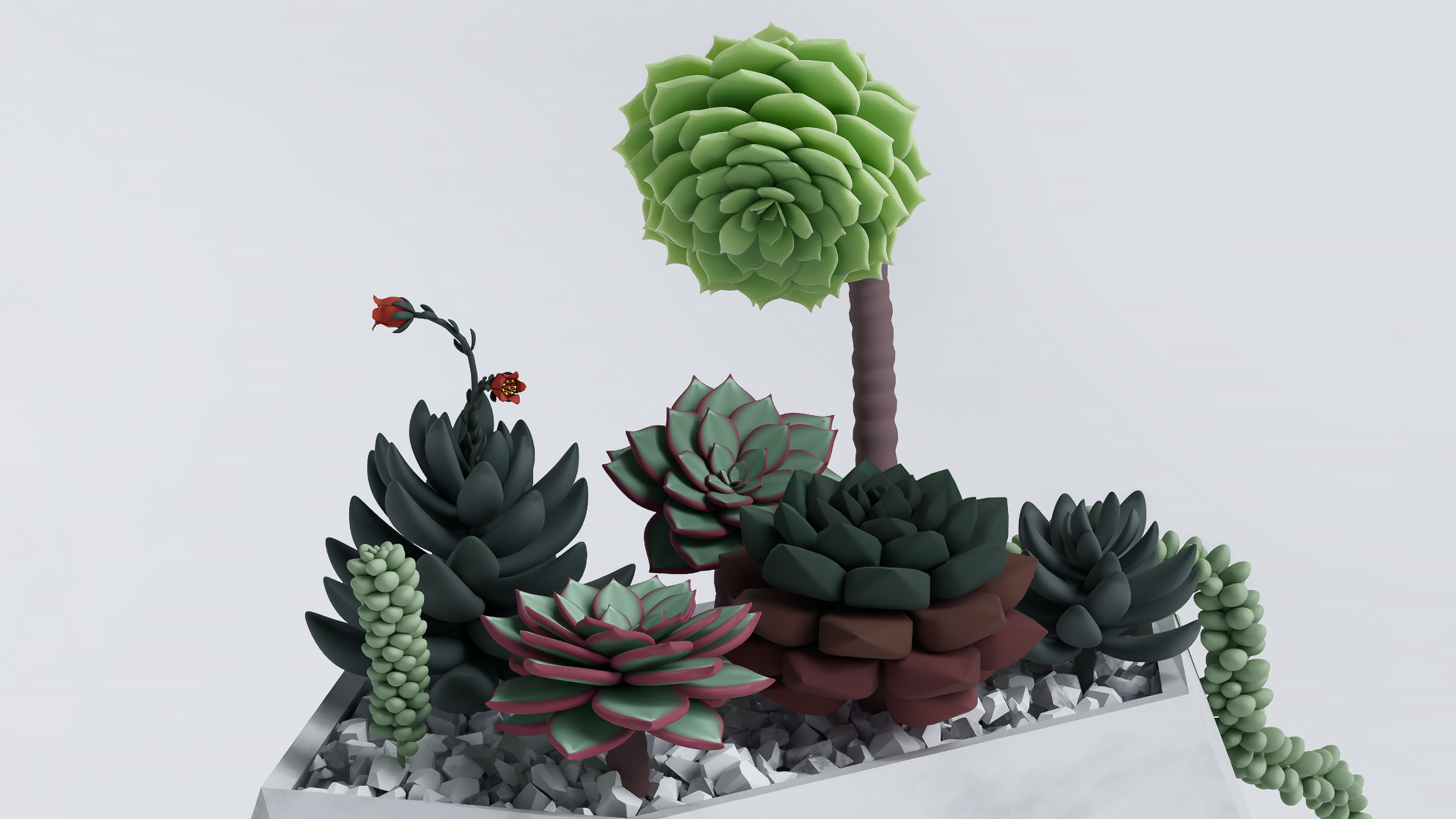 Коллекционные наборы модульных суккулентов Grow&Build — Изображение №2 — 3D, Промдизайн на Dprofile