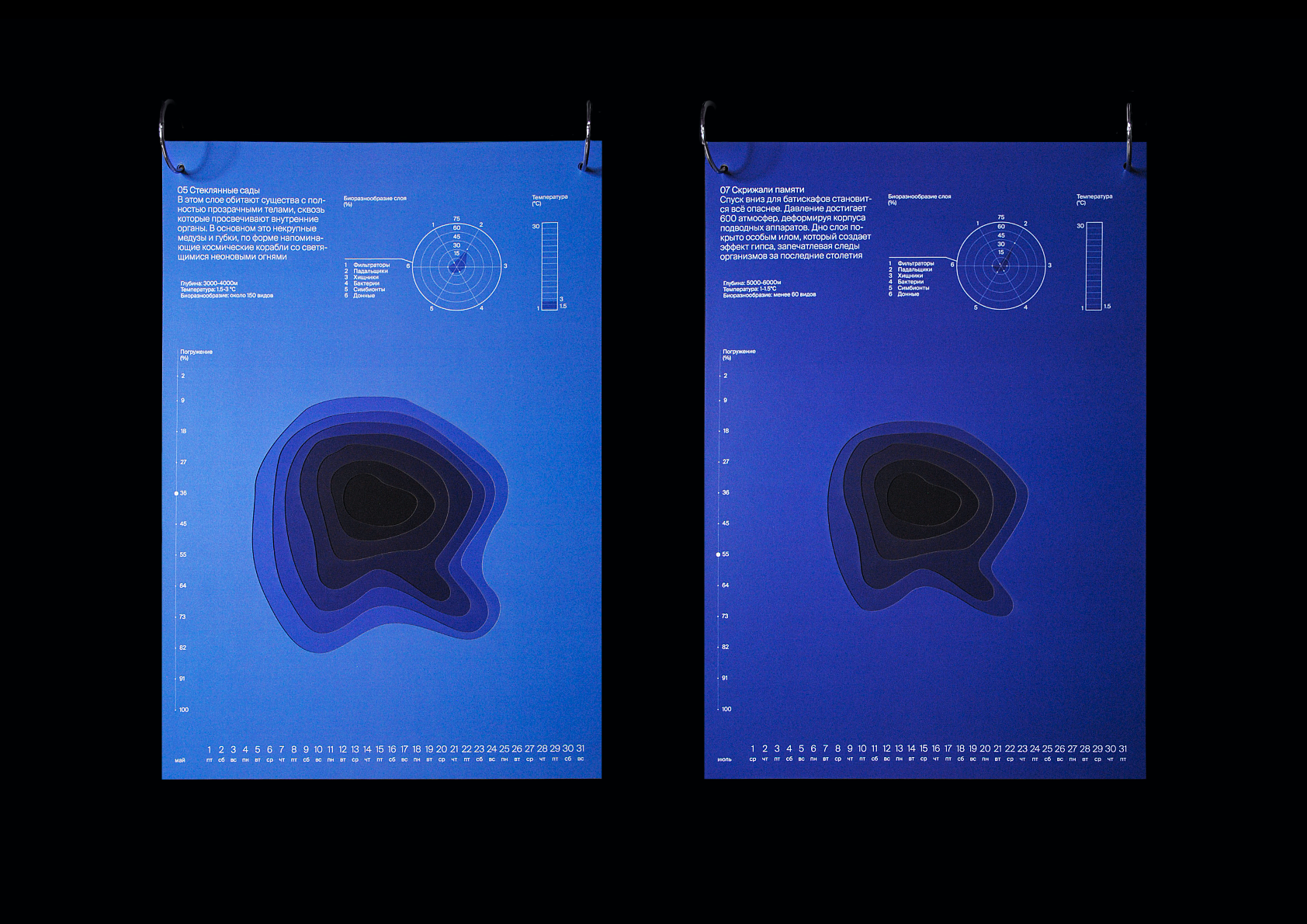Календарь-погружение на дно Марианской впадины — Изображение №7 — Графика на Dprofile
