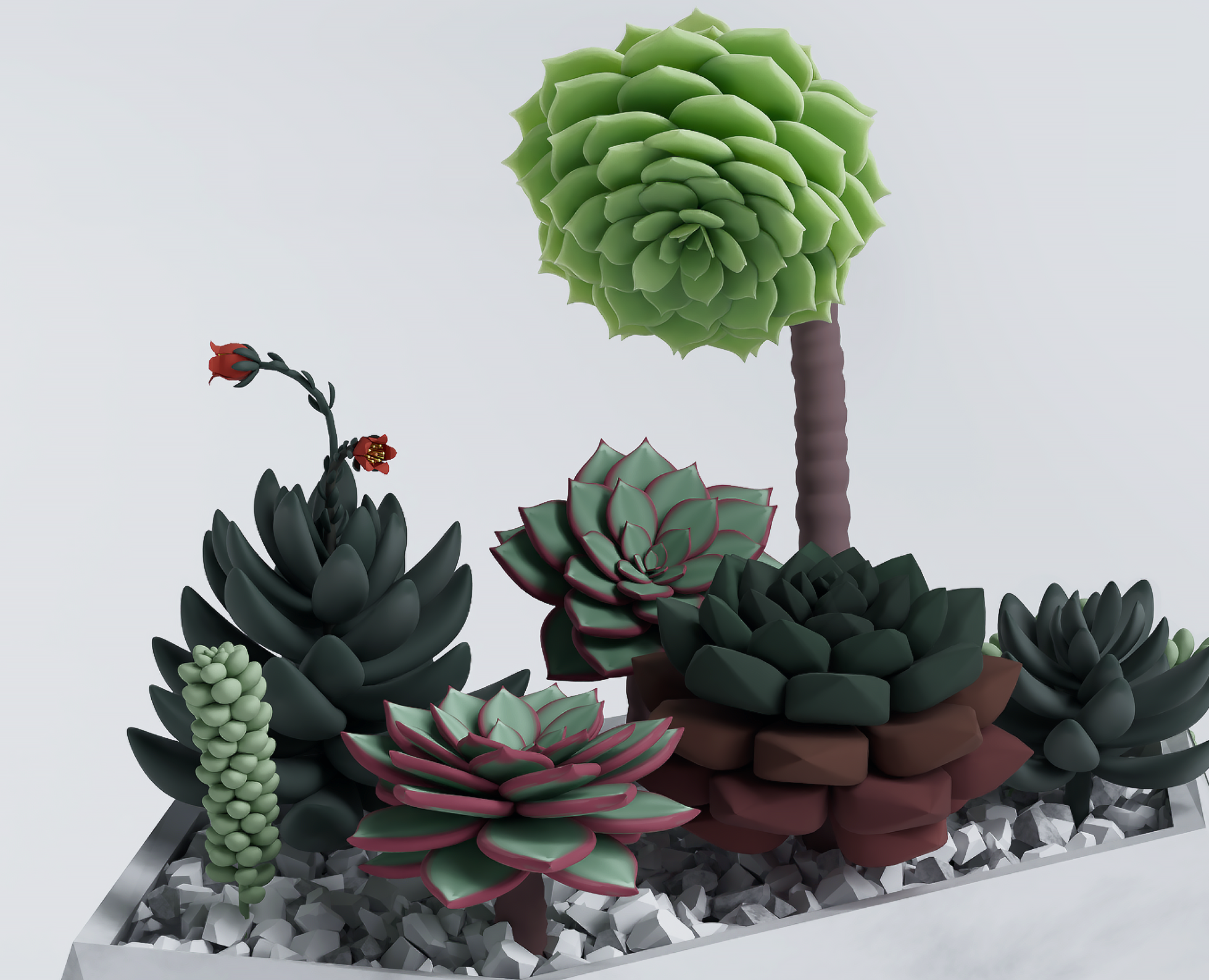 Коллекционные наборы модульных суккулентов Grow&Build на Dprofile