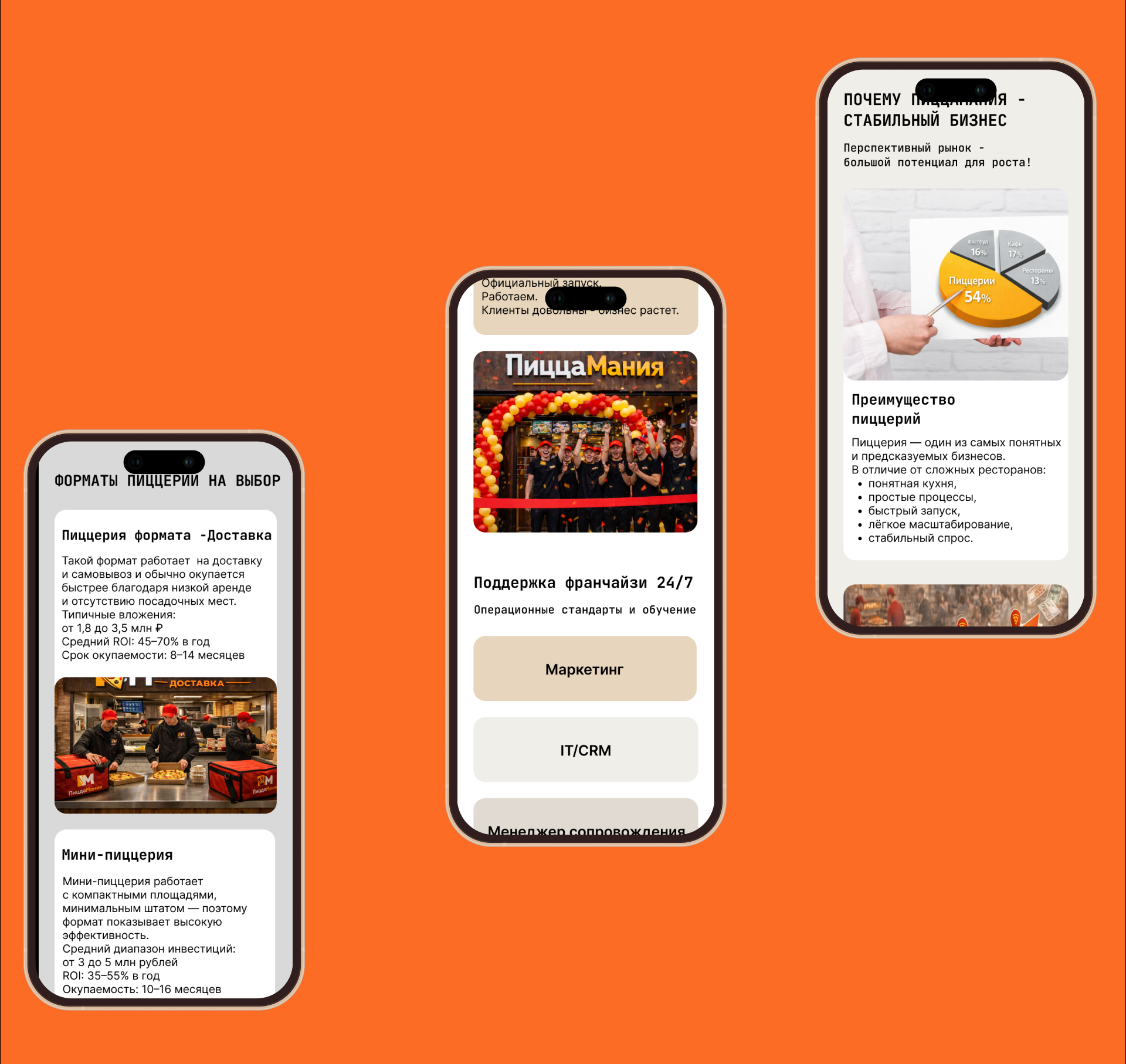 Разработка веб-сайта и элементов фирменного стиля — Изображение №6 — Интерфейсы, Брендинг на Dprofile