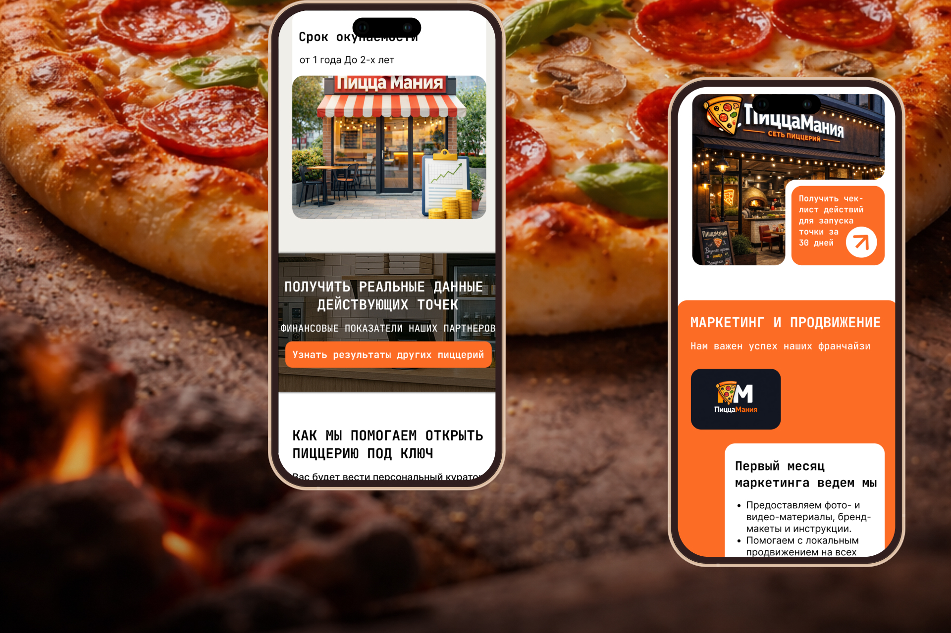 Разработка веб-сайта и элементов фирменного стиля — Изображение №2 — Интерфейсы, Брендинг на Dprofile