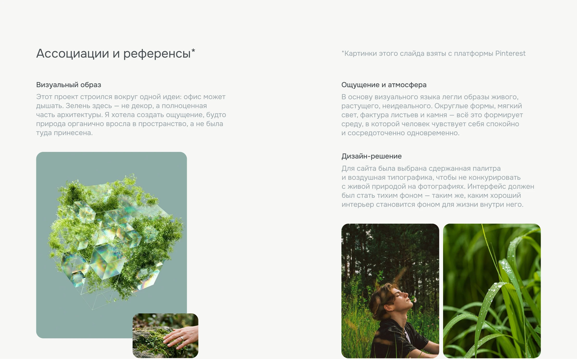 Корпоративный сайт бизнеса озеленения — Изображение №4 — Интерфейсы, Брендинг на Dprofile