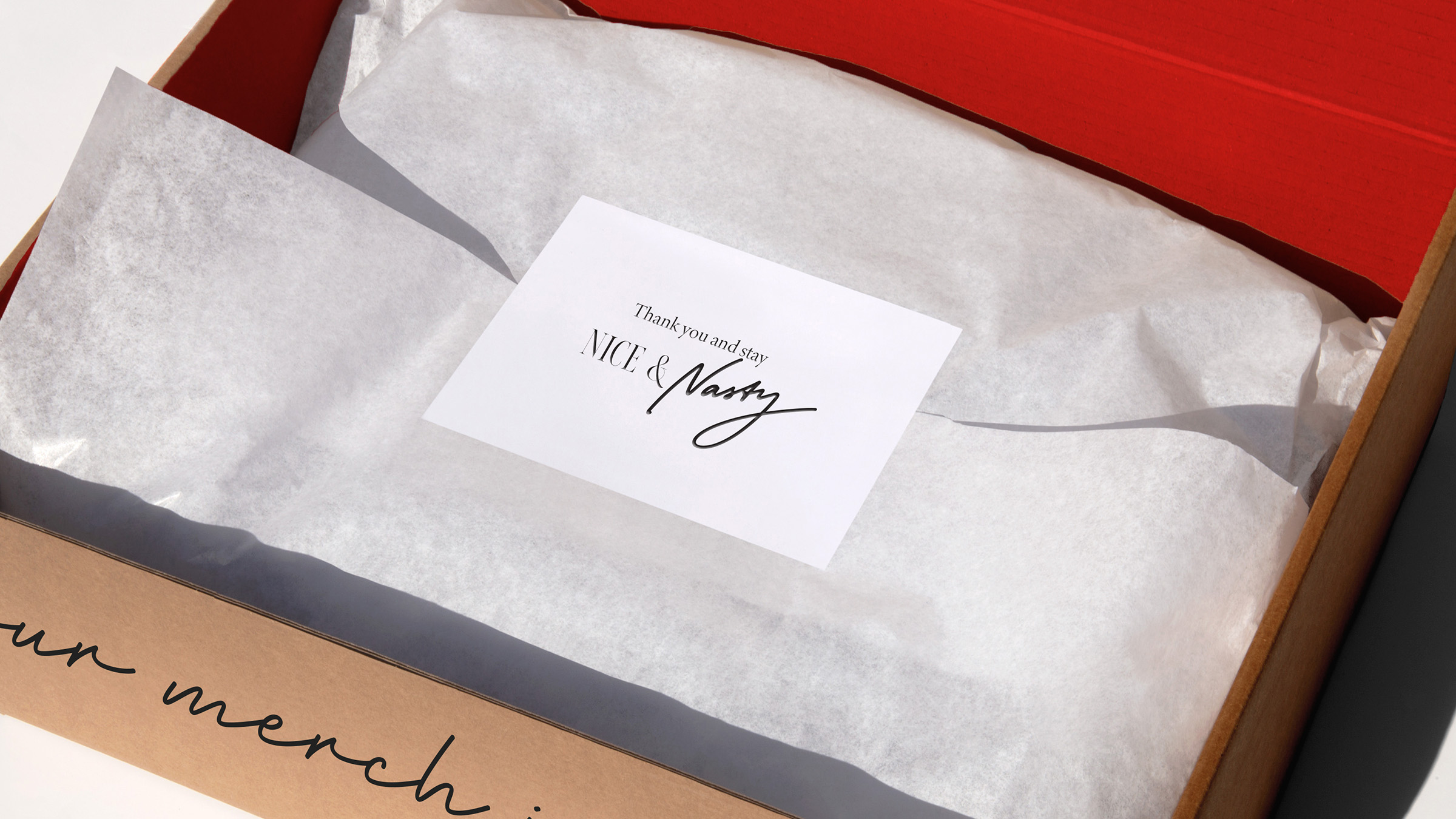 Nice&Nasty - фирменный стиль вечеринок и лекций — Изображение №10 — Брендинг на Dprofile