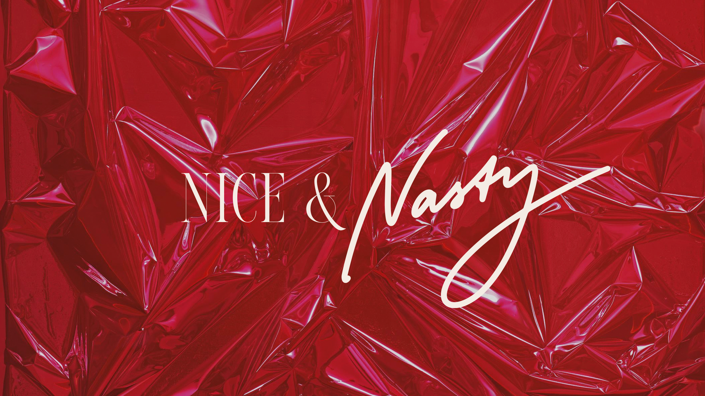 Nice&Nasty - фирменный стиль вечеринок и лекций — Изображение №1 — Брендинг на Dprofile