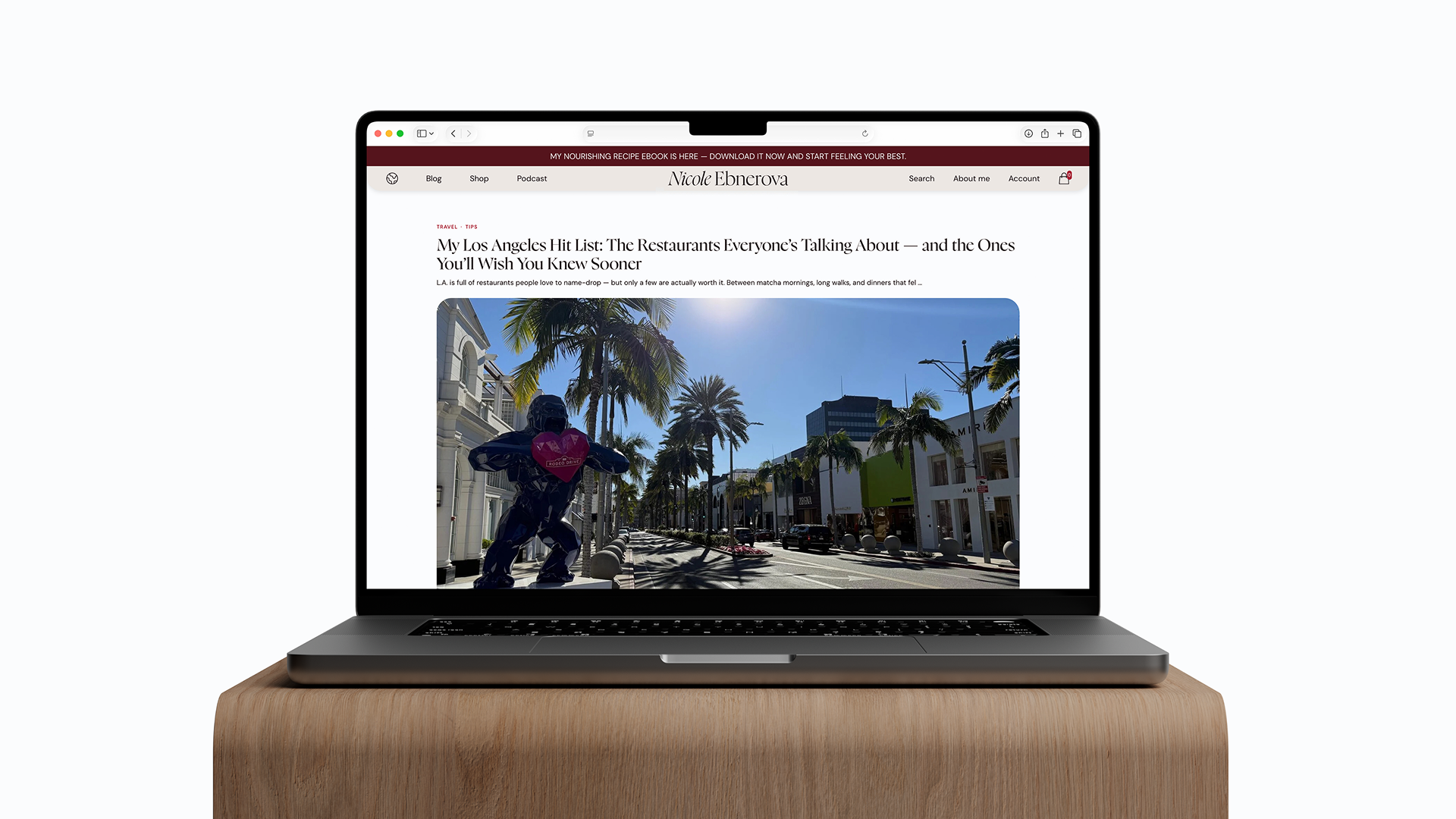 Nicole Ebnerova — фирменный стиль и wellness веб-сайт — Изображение №13 — Интерфейсы, Брендинг на Dprofile