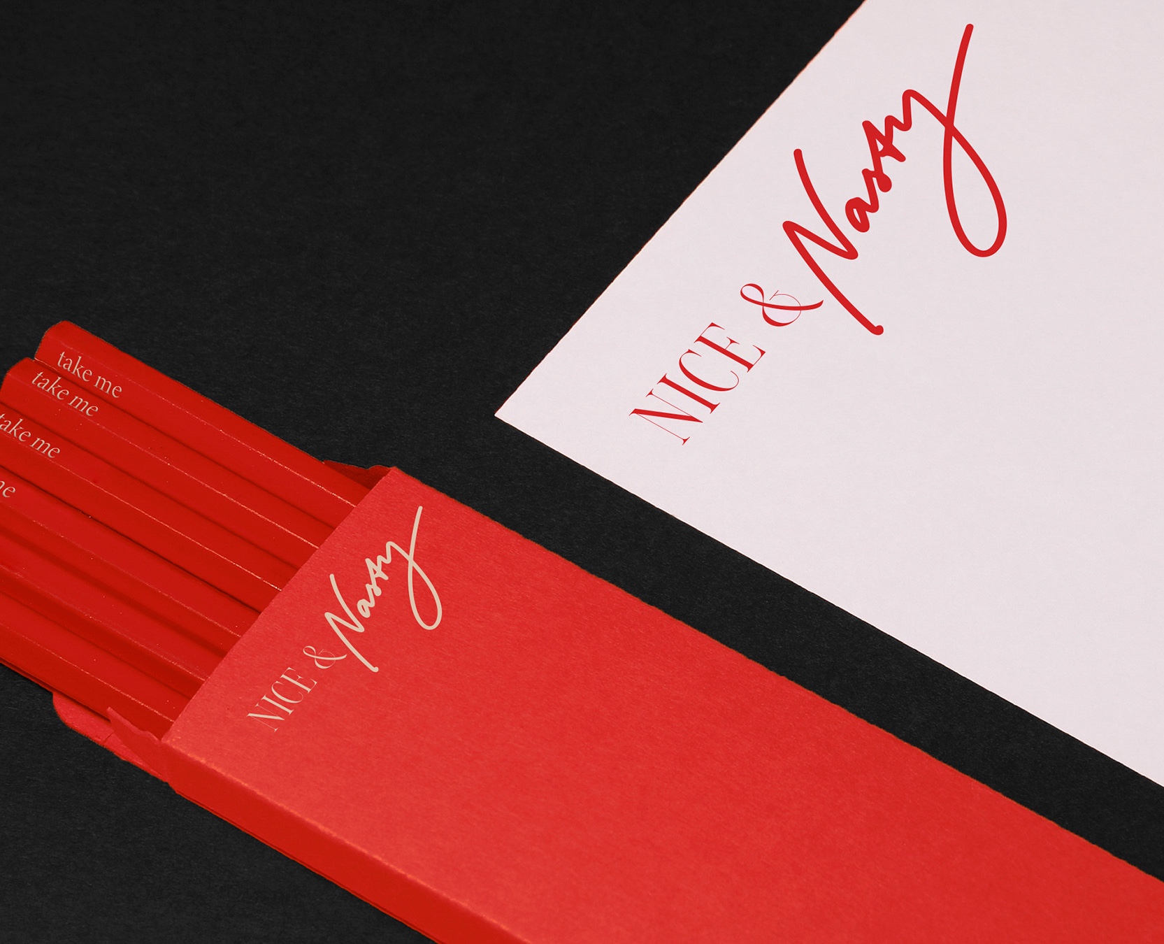 Nice&Nasty - фирменный стиль вечеринок и лекций — Брендинг на Dprofile