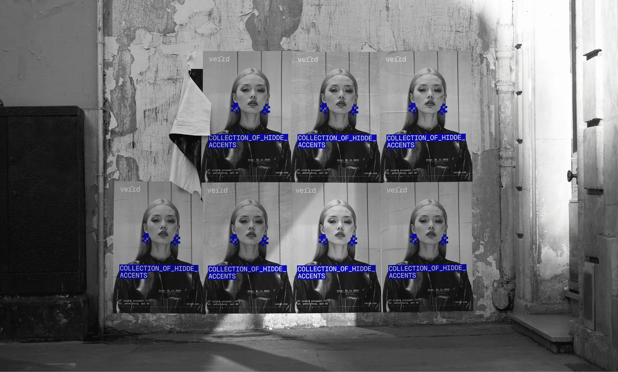 VEIRD Brand Identity — Изображение №10 — Брендинг на Dprofile