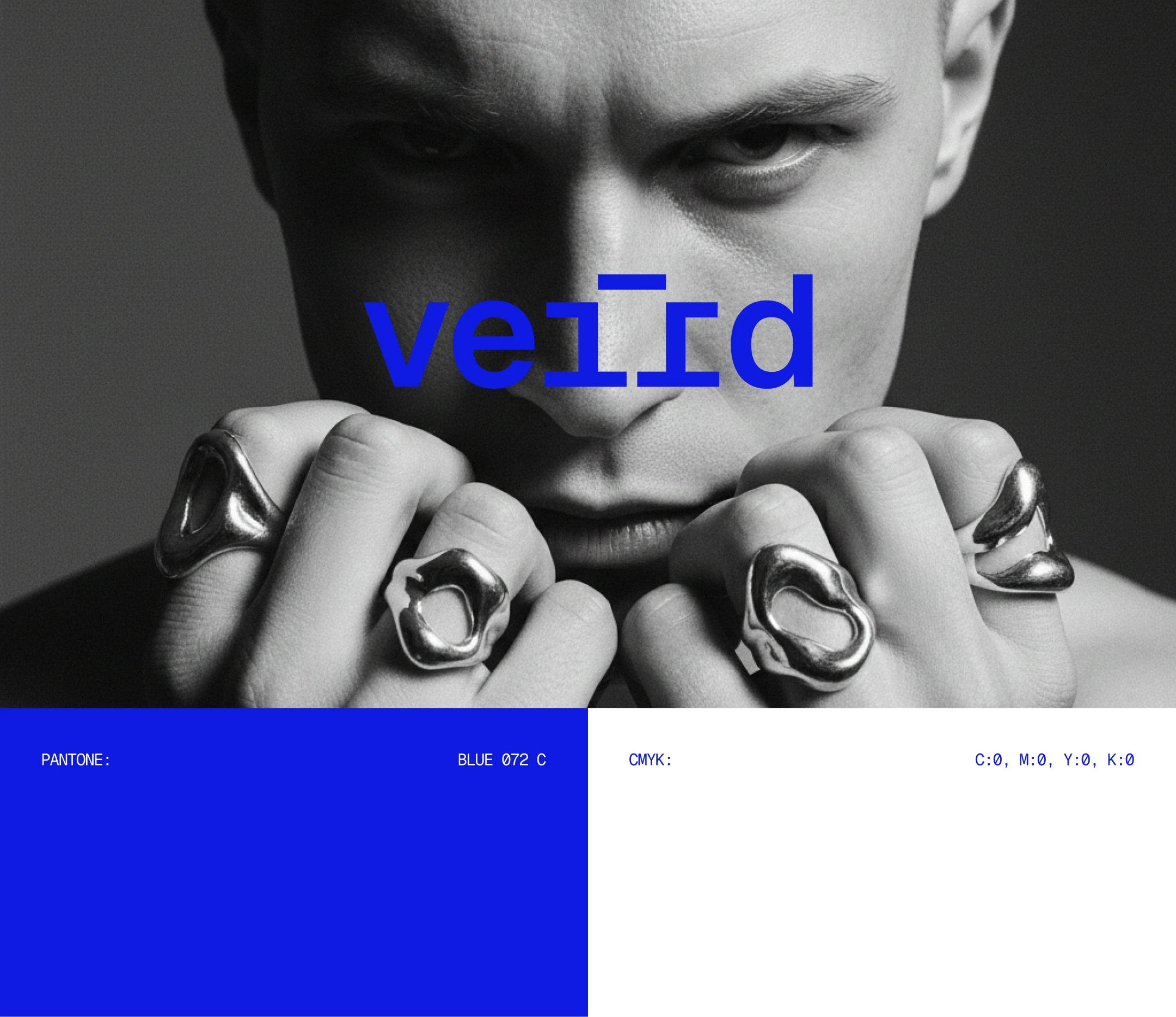 VEIRD Brand Identity — Изображение №5 — Брендинг на Dprofile
