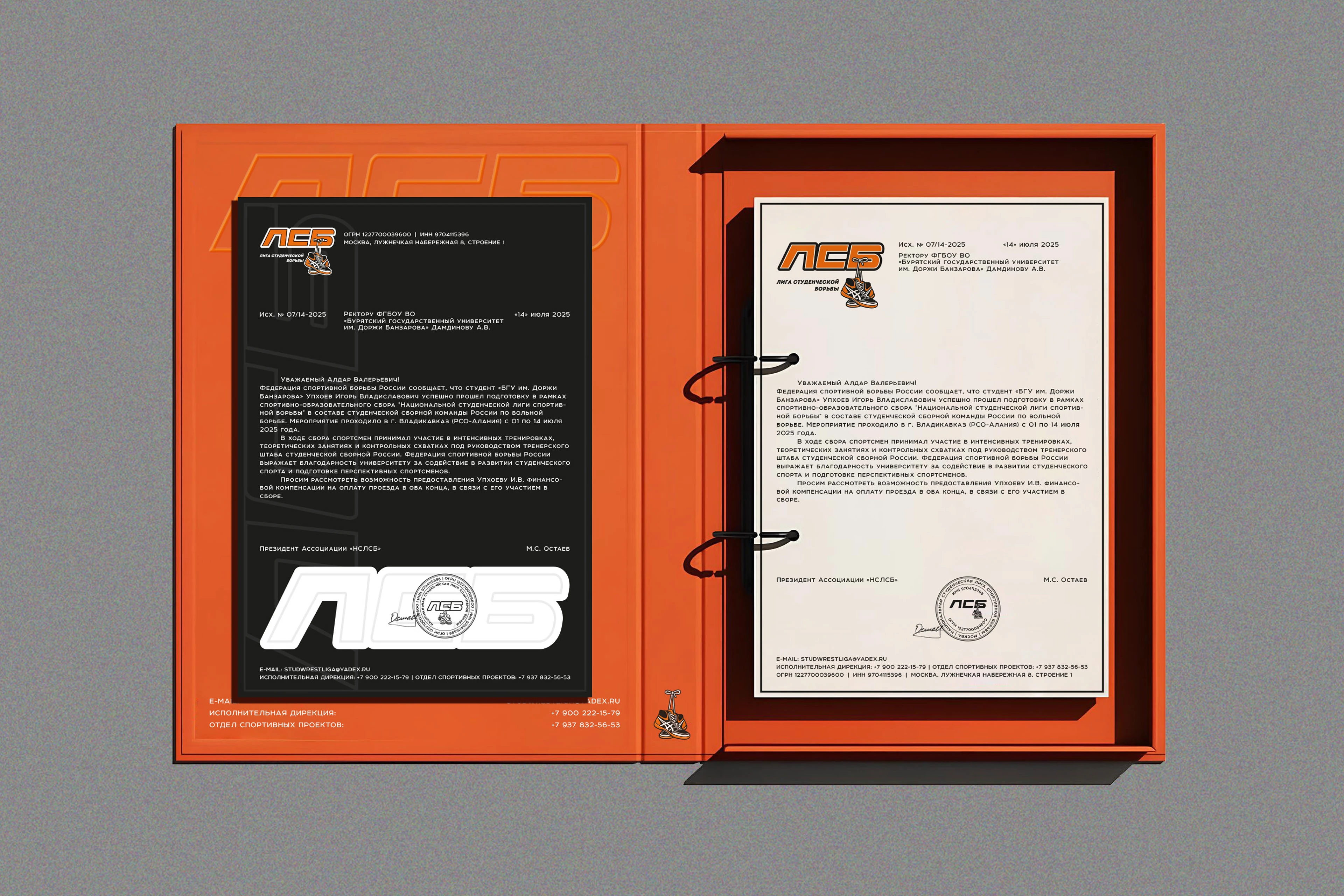 Оформление мероприятия "Лига студенческой борьбы" — Изображение №8 — Брендинг, Графика на Dprofile