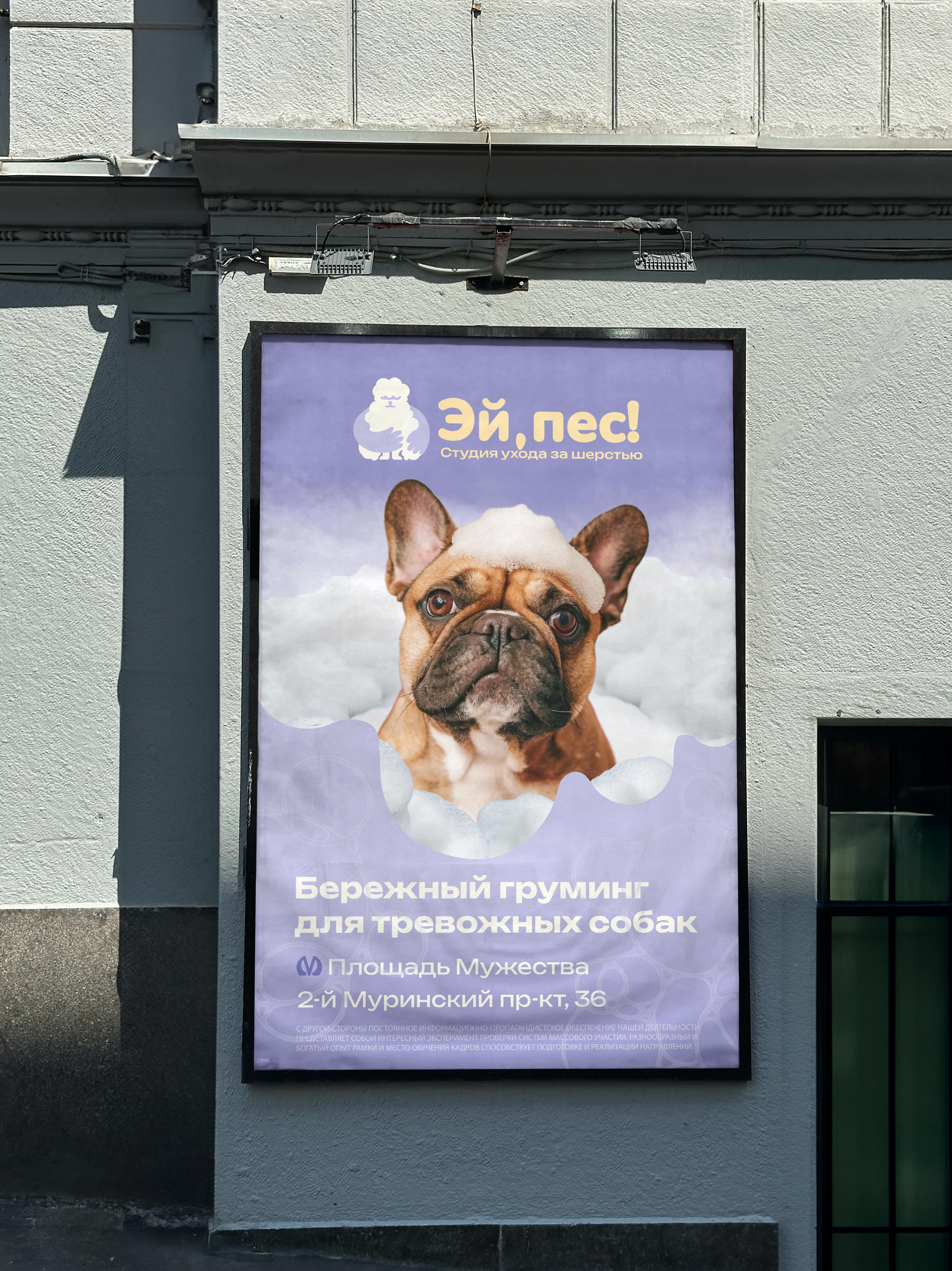 "Эй, пес!" Студия ухода за шерстью — Изображение №9 — Брендинг на Dprofile