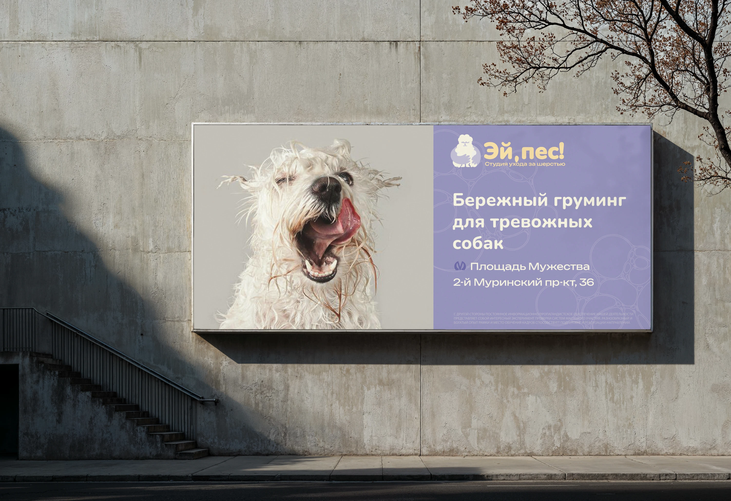 "Эй, пес!" Студия ухода за шерстью — Изображение №7 — Брендинг на Dprofile