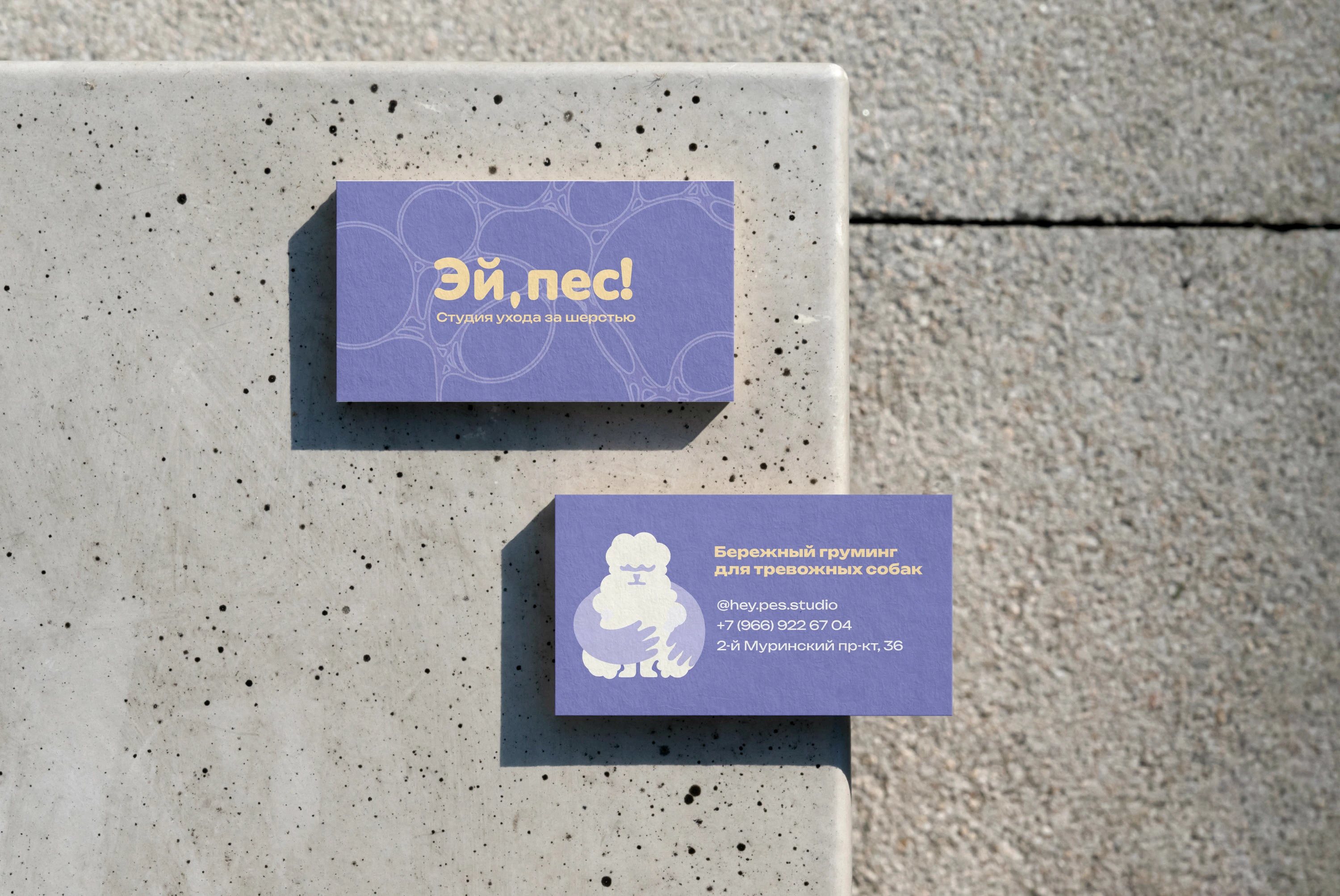 "Эй, пес!" Студия ухода за шерстью — Изображение №6 — Брендинг на Dprofile
