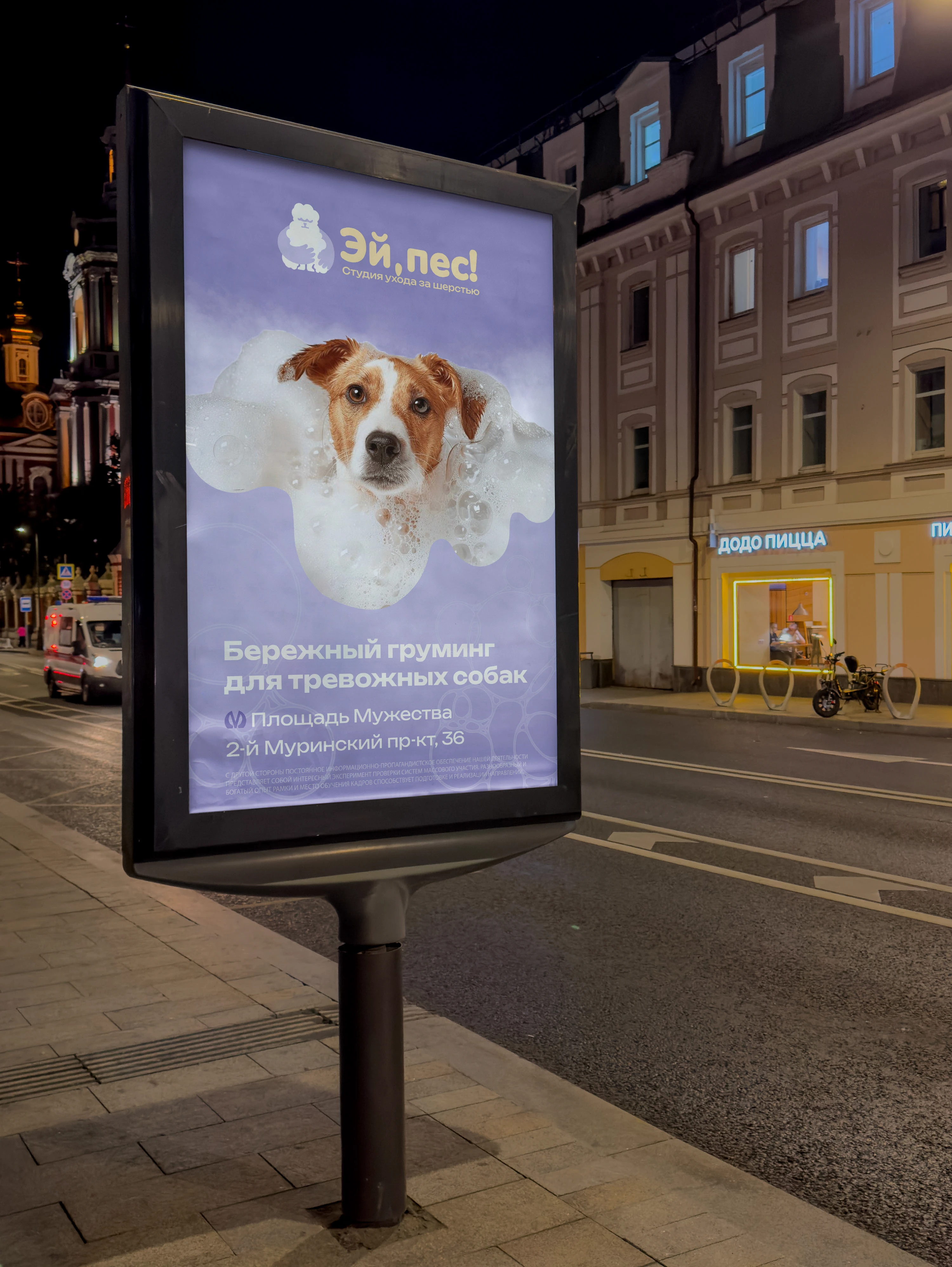 "Эй, пес!" Студия ухода за шерстью — Изображение №8 — Брендинг на Dprofile