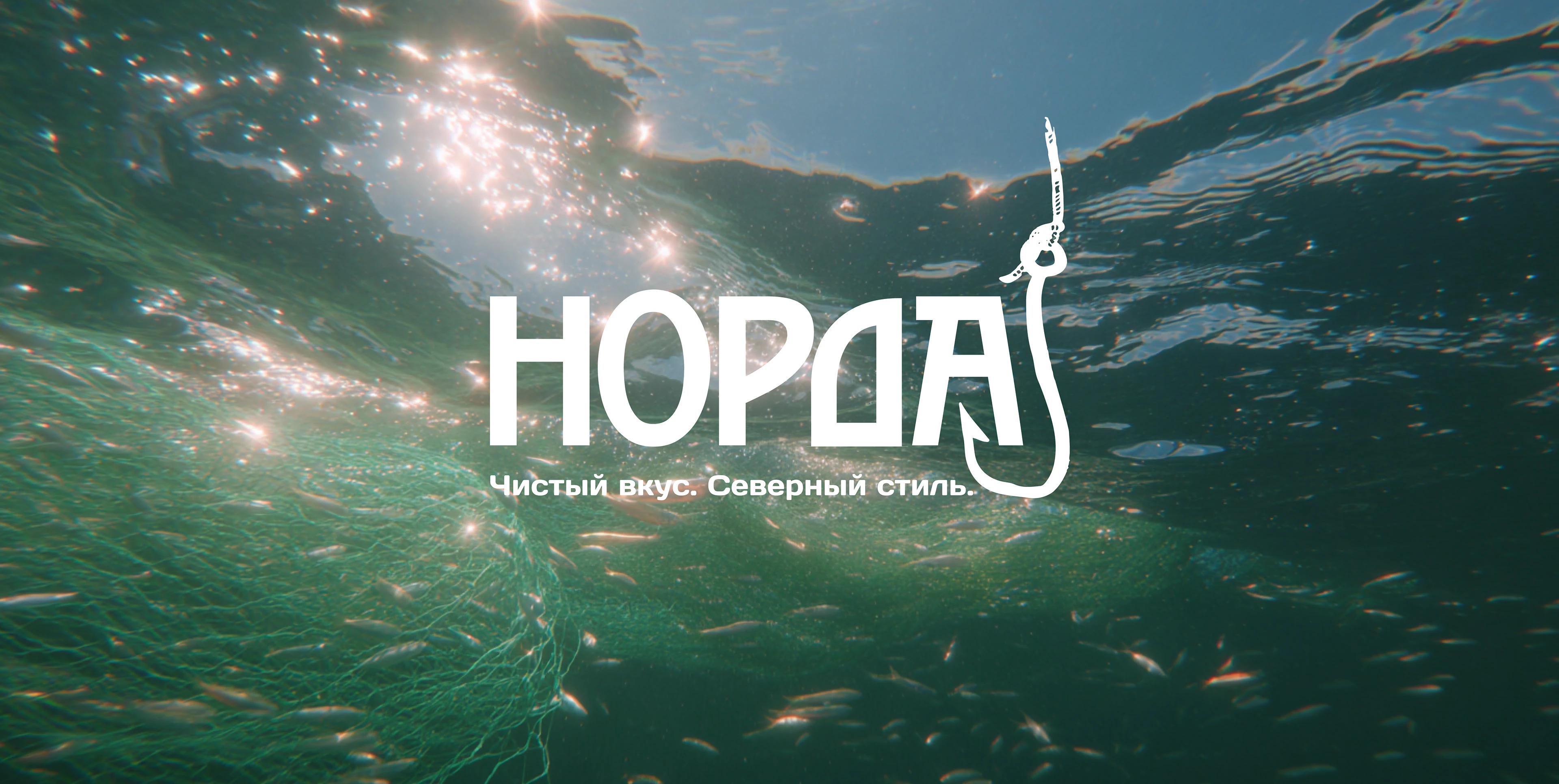 Норда — Изображение №1 — Брендинг, Промдизайн на Dprofile