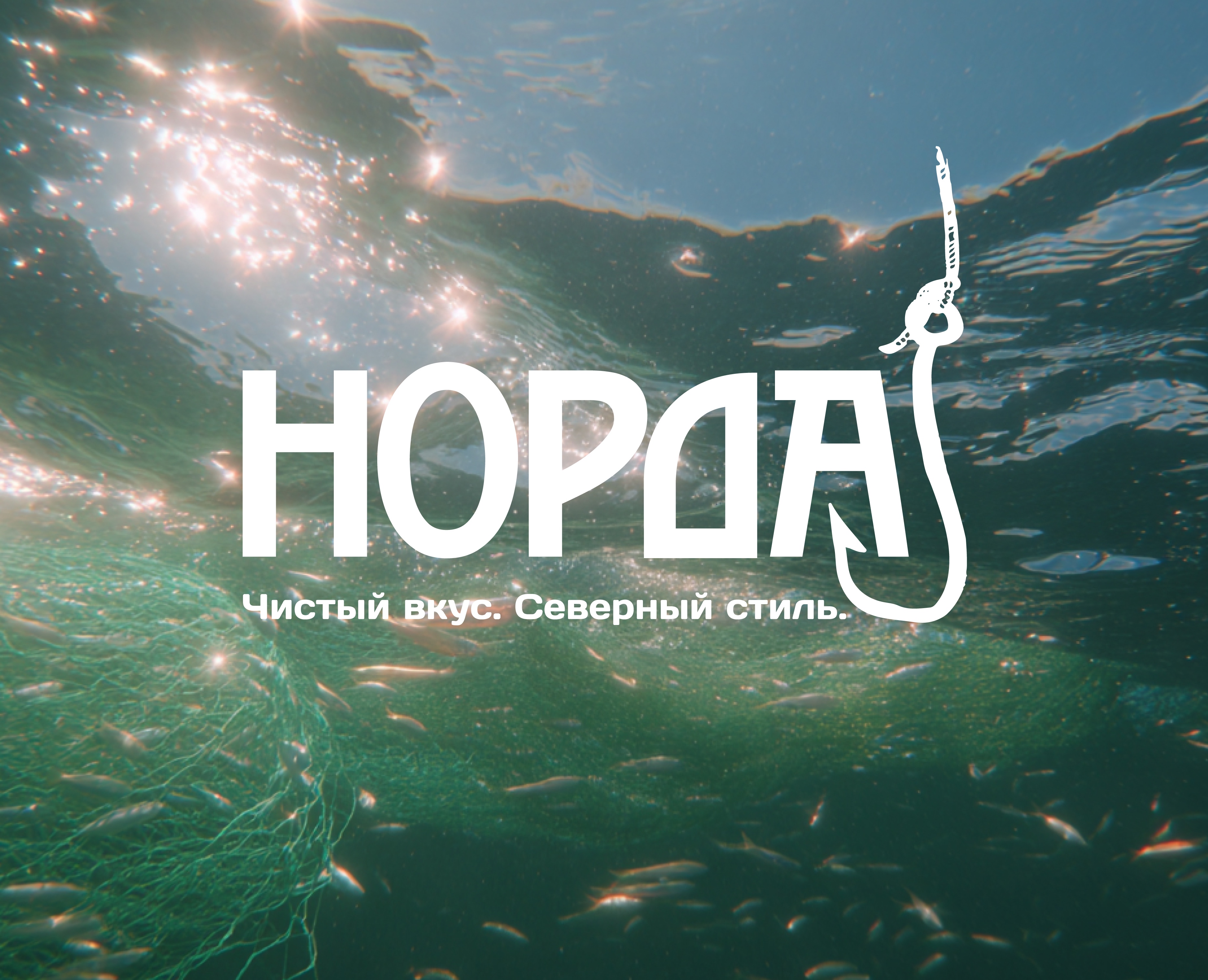 Норда на Dprofile